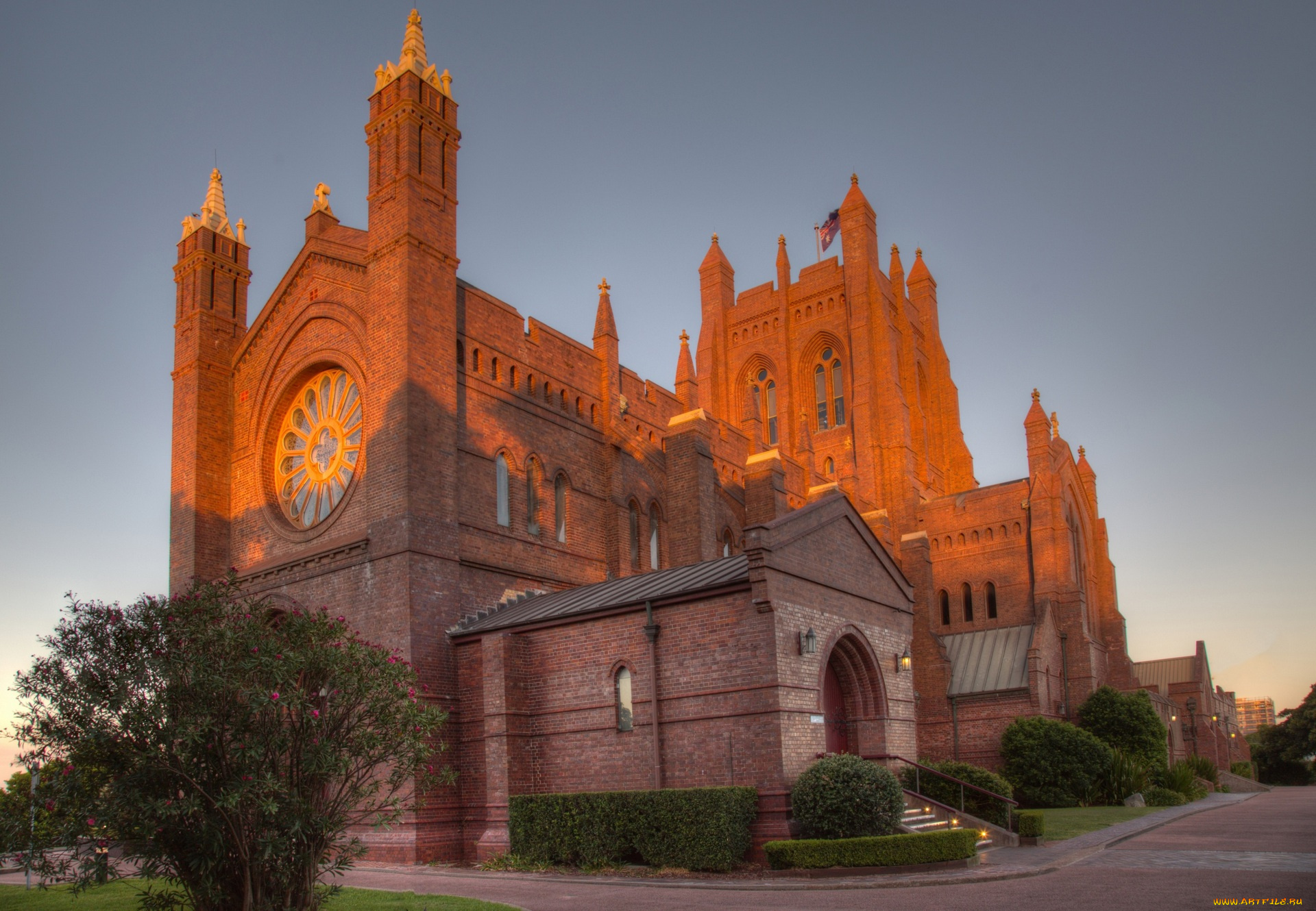 австралия, города, -, католические, соборы, , костелы, , аббатства, дорога, кустарники