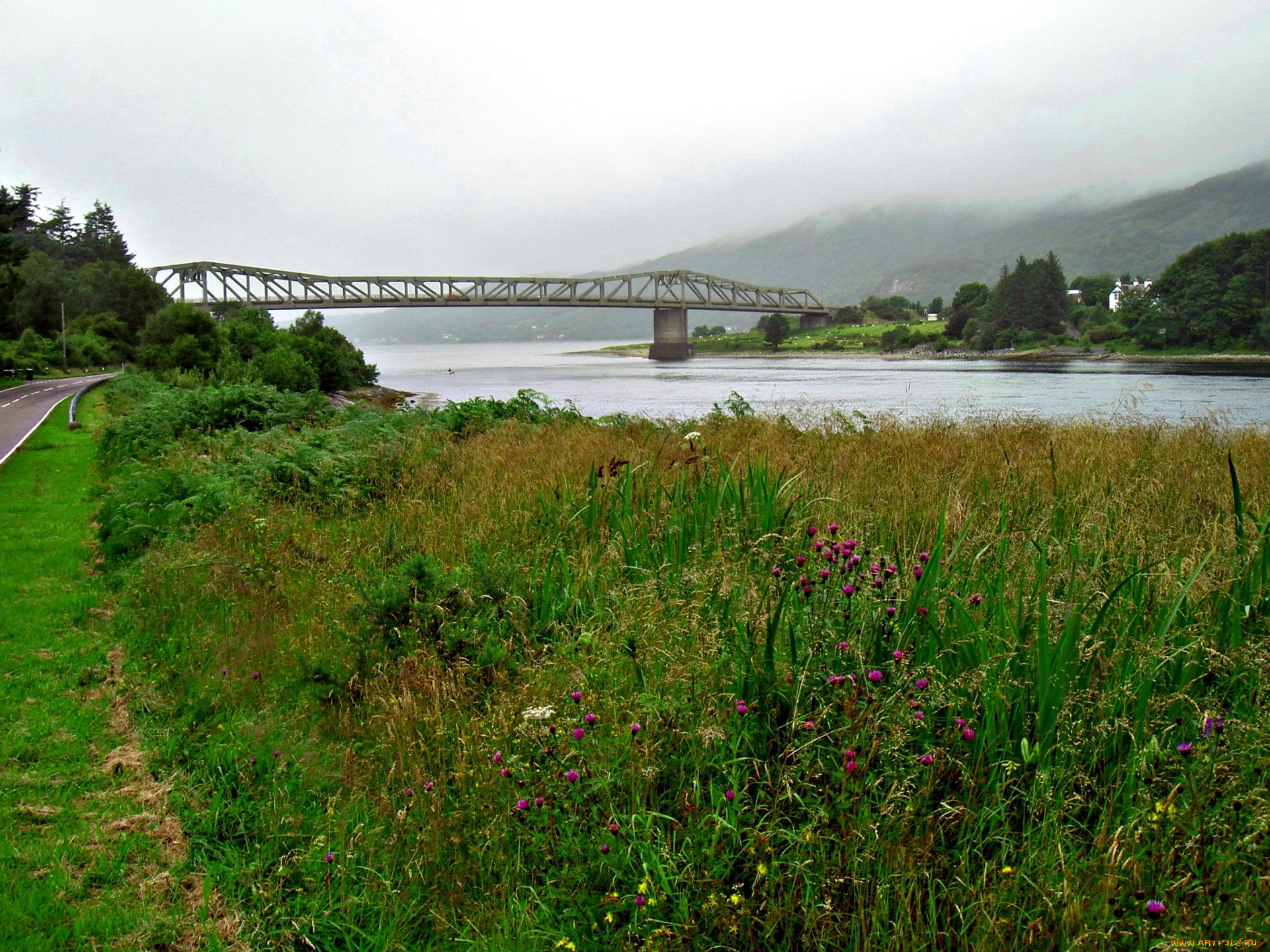 города, -, мосты, горы, мост, река, лето, разнотравье, туман