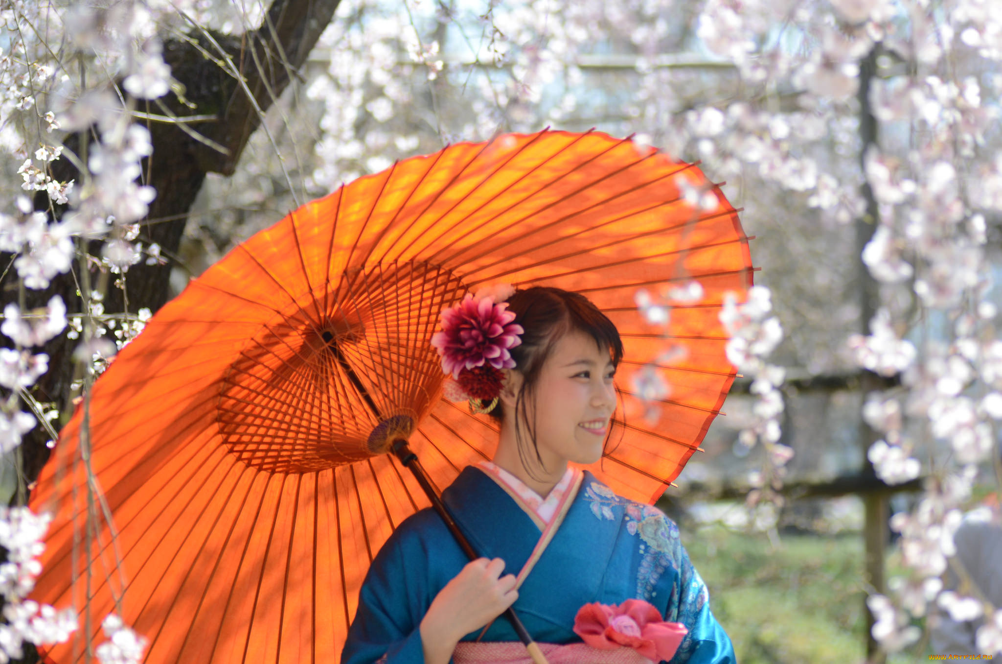 девушки, -unsort, , азиатки, зонт, девушка