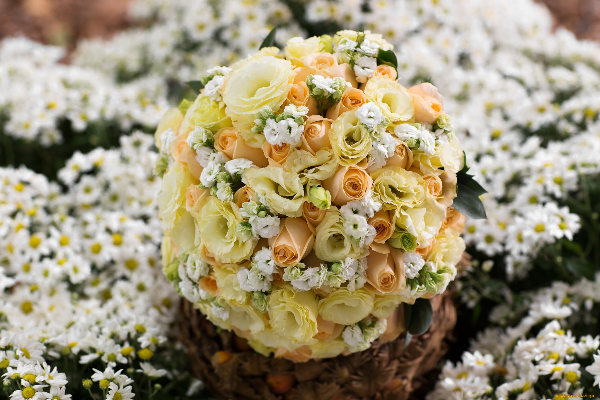 цветы, букеты, , композиции, розы, свадебный, букет