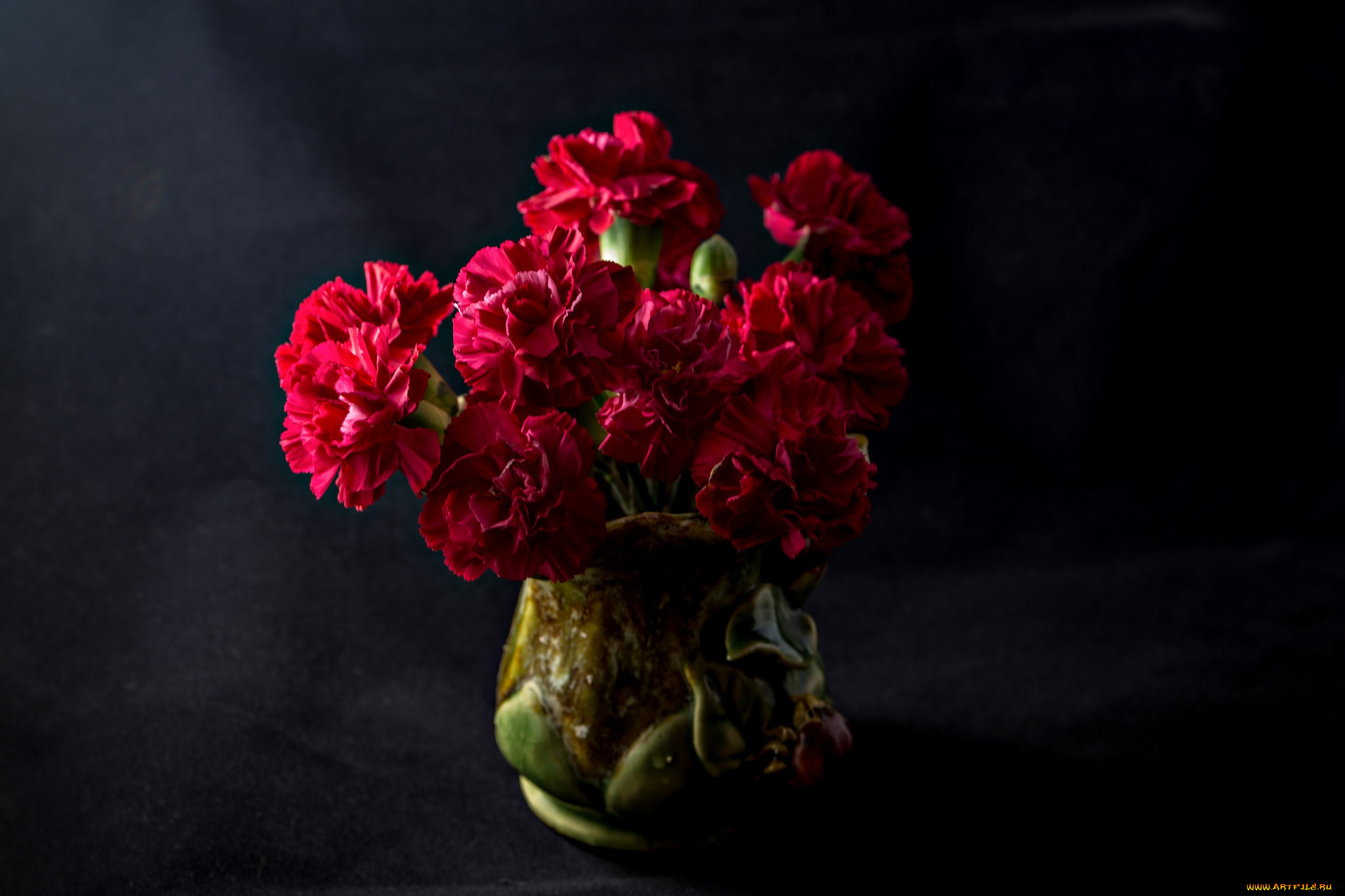 цветы, гвоздики, тёмный, фон, букет