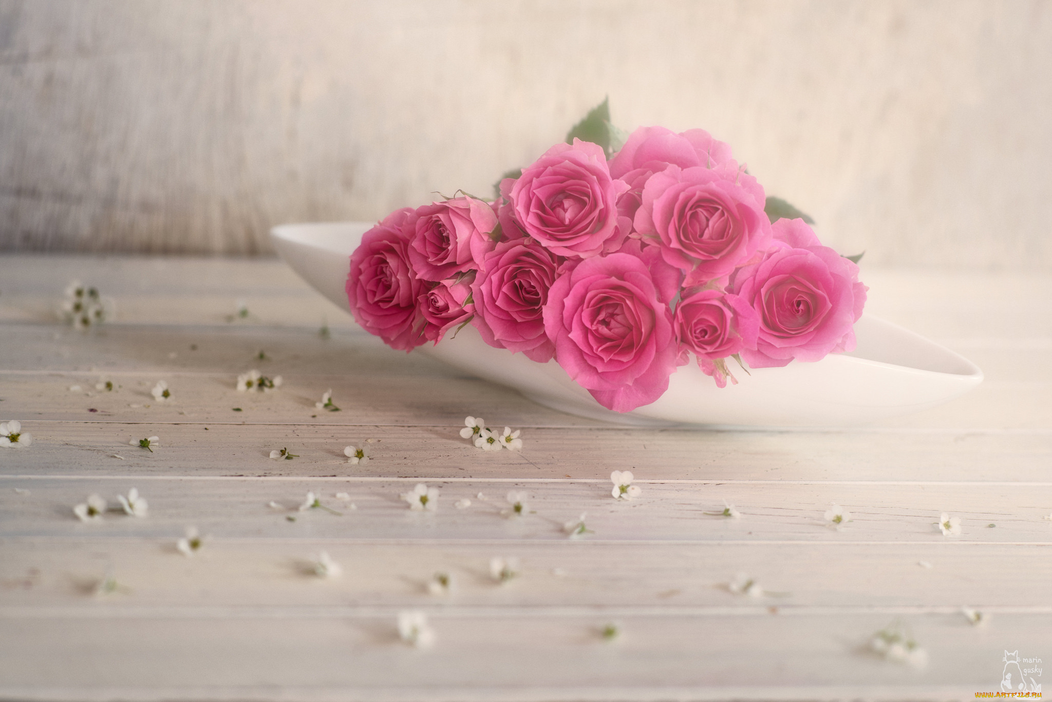 цветы, розы, цветение, листья, blossoms, petals, bud, rose, leaves, роза, бутон, лепестки