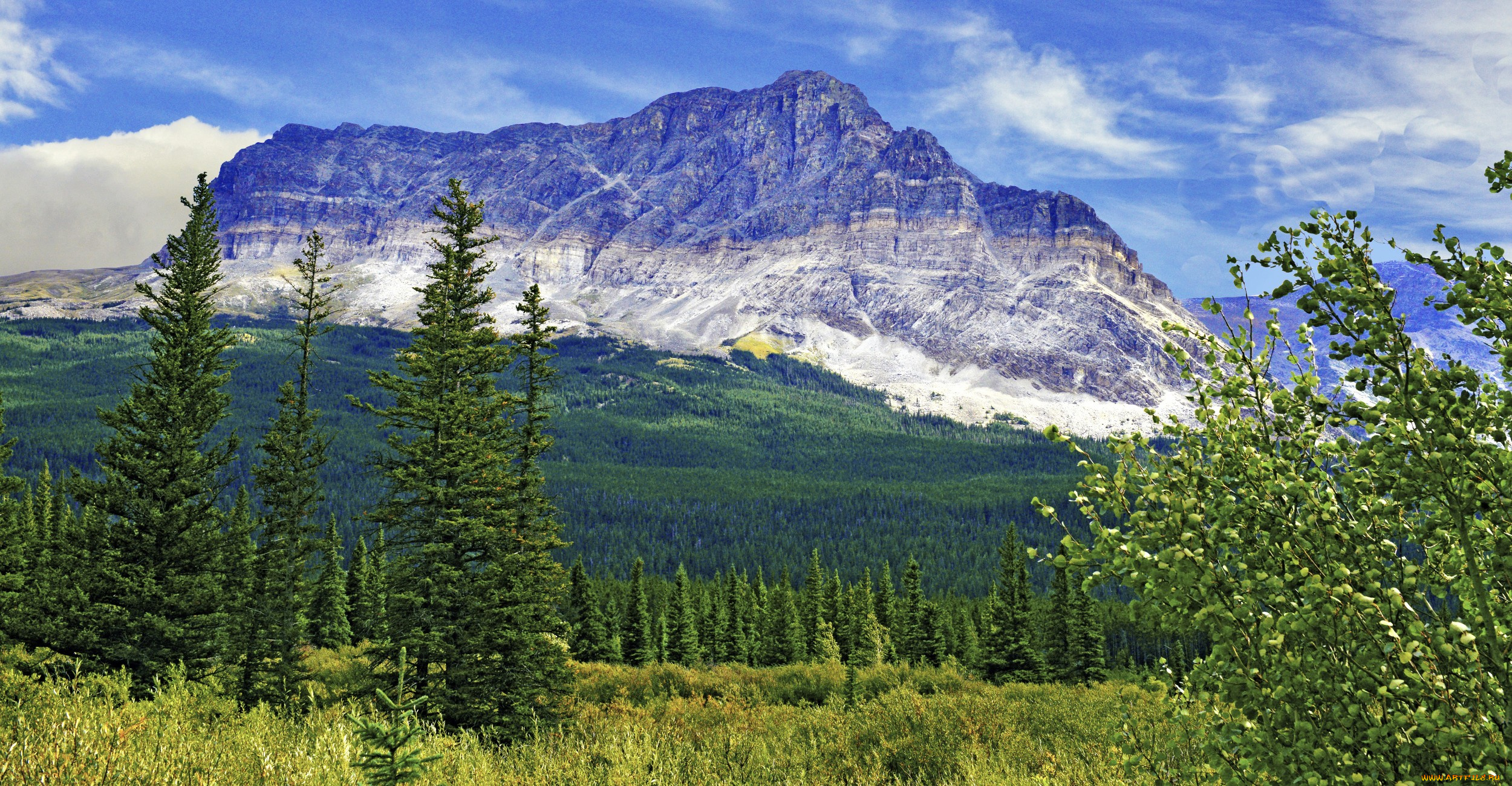 природа, горы, простор