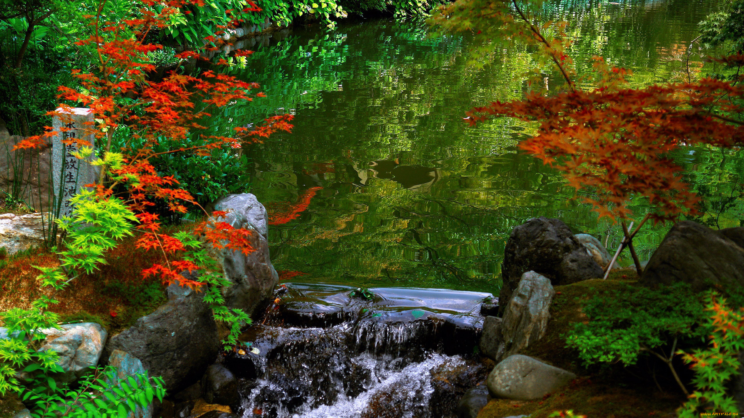 природа, парк, осень, кусты, водопад, водоем