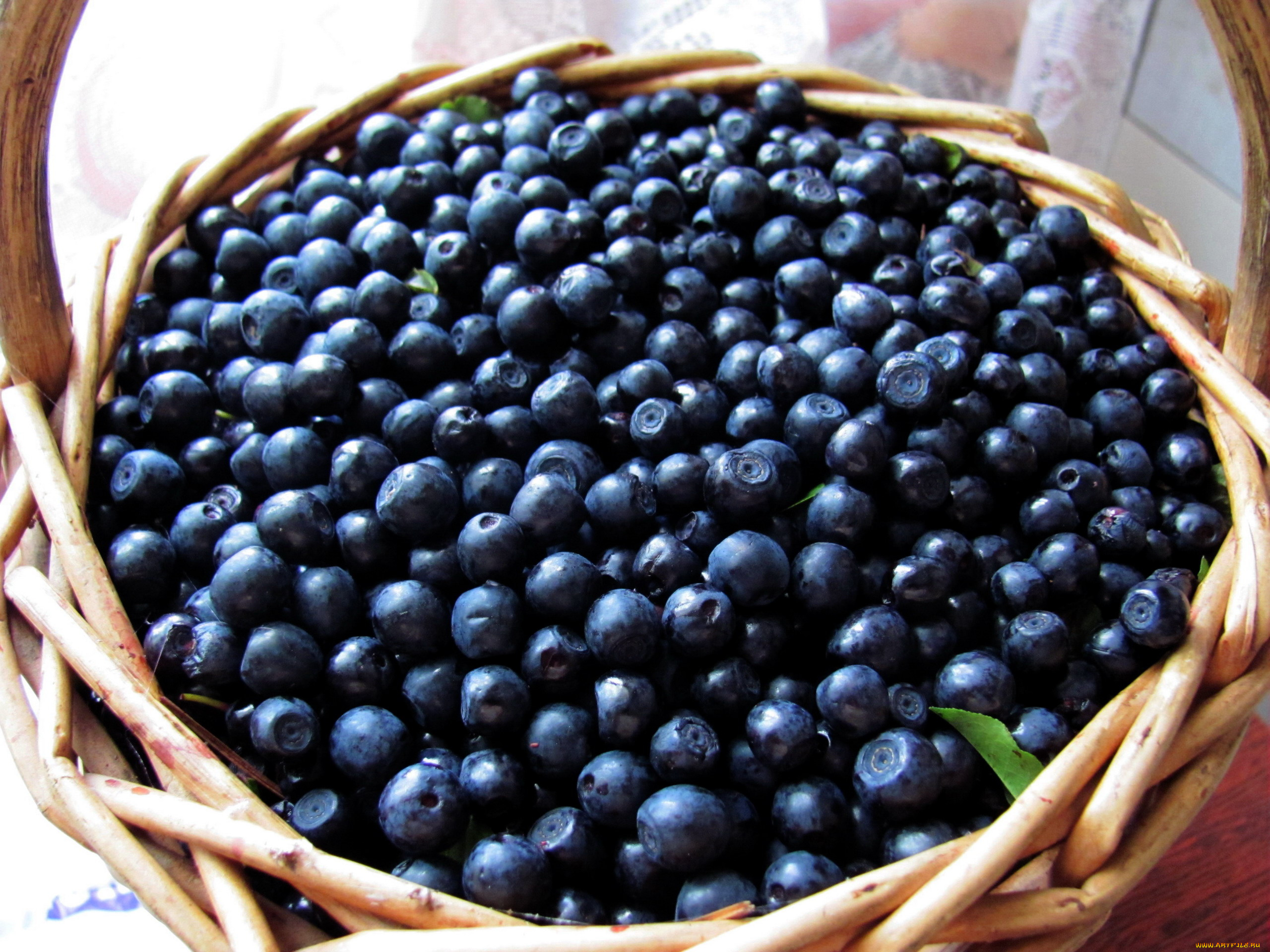 еда, голубика, , черника, корзинка, черника, много