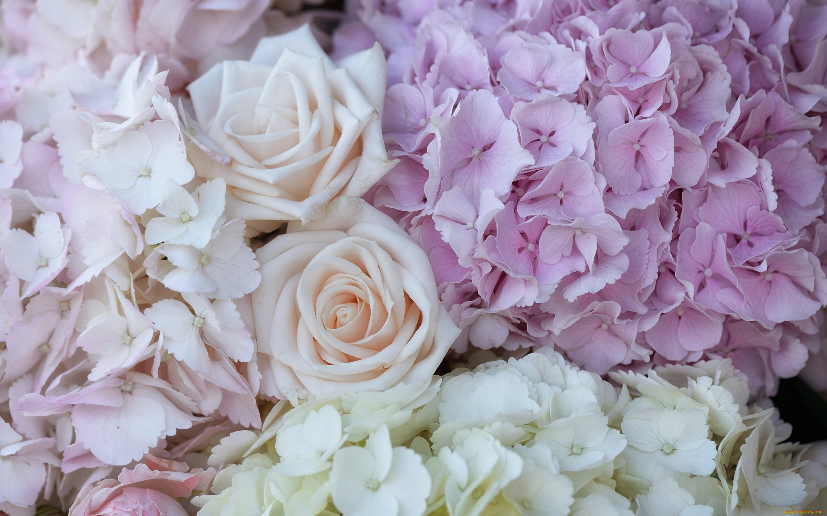цветы, разные, вместе, розы, гортензия, макро