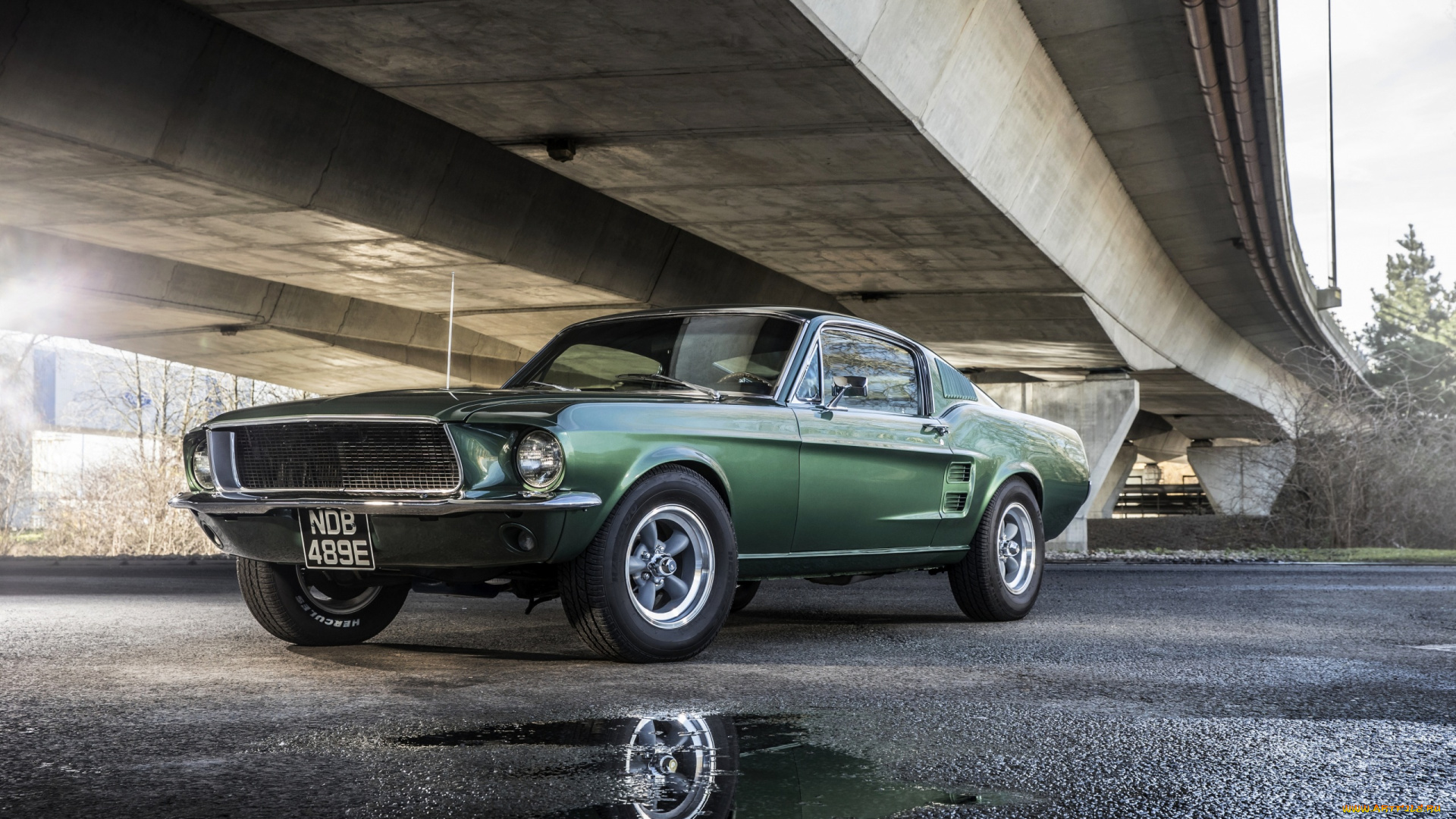 автомобили, mustang, лужа, мустанг, мост, форд, зеленый