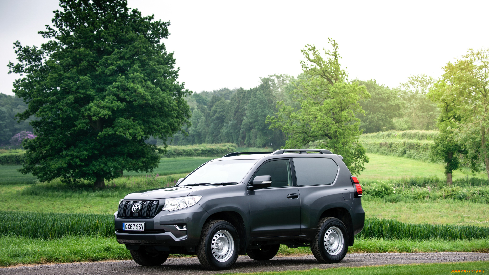 автомобили, toyota