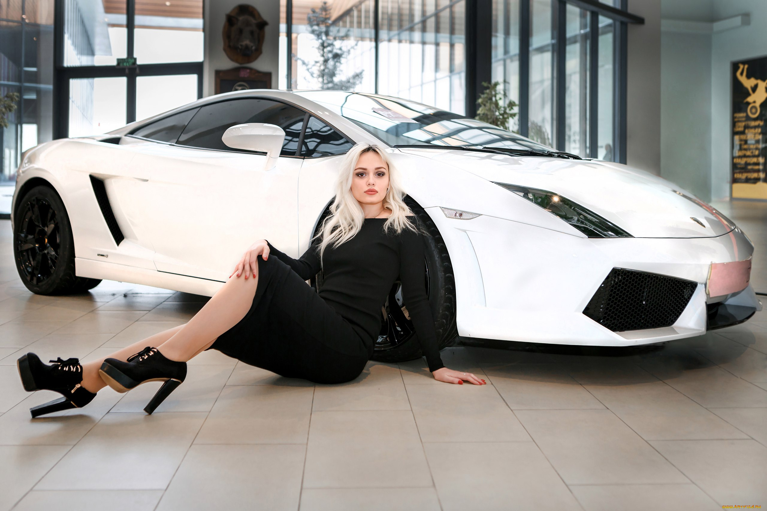 автомобили, -авто, с, девушками, девушки, авто