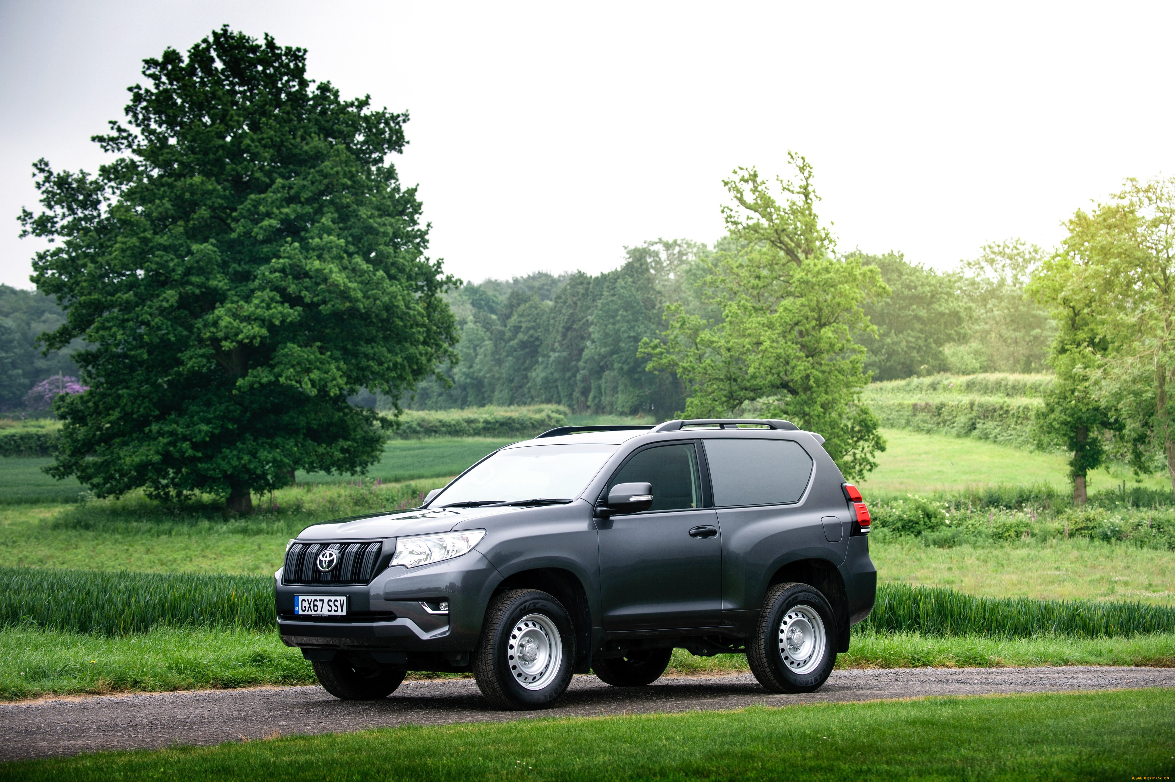 автомобили, toyota