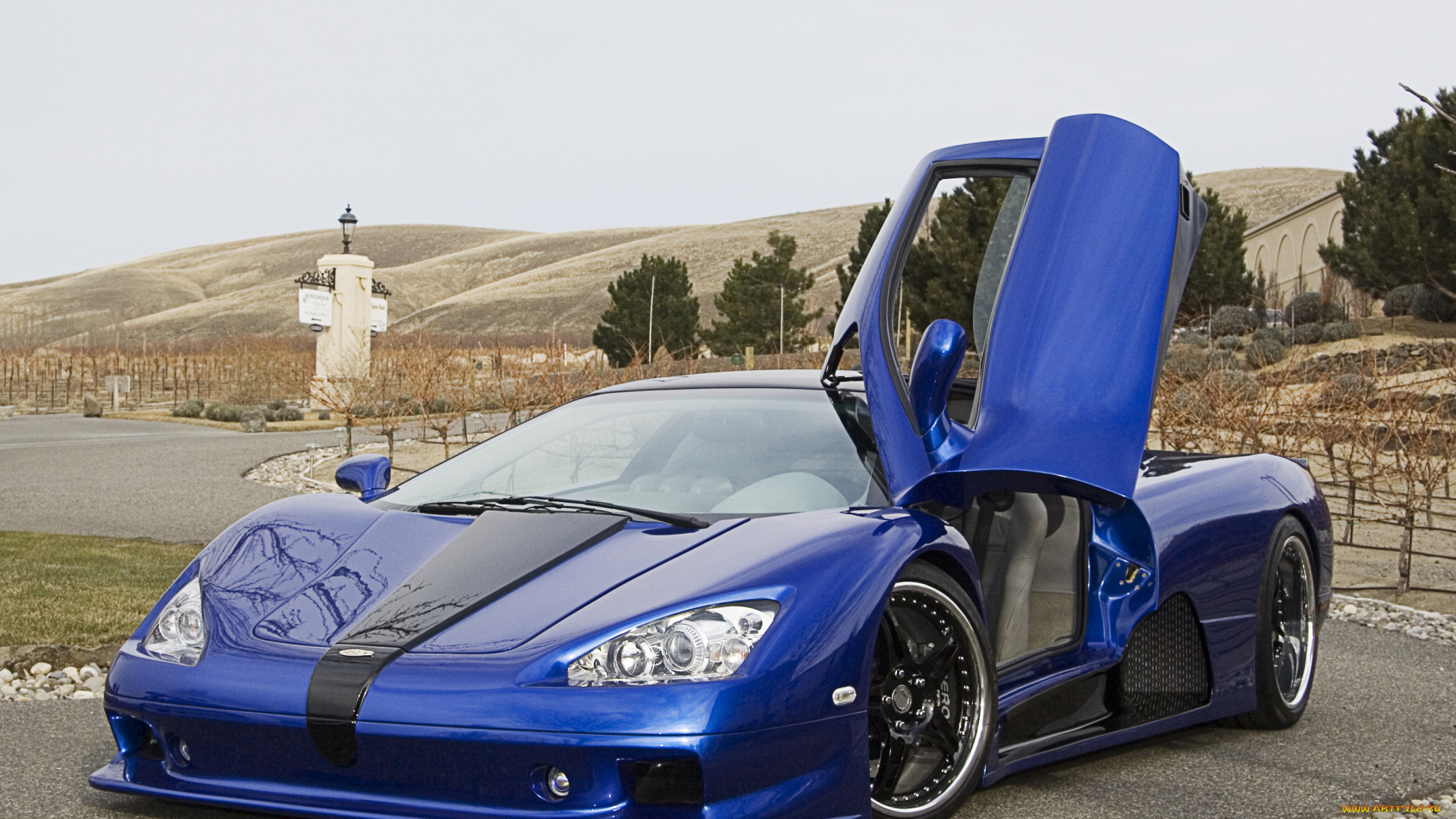 автомобили, ac, cobra, shelby, ssc