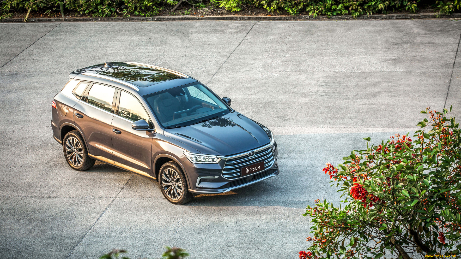 автомобили, byd