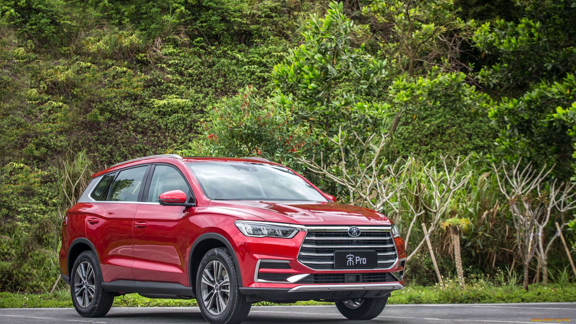 автомобили, byd