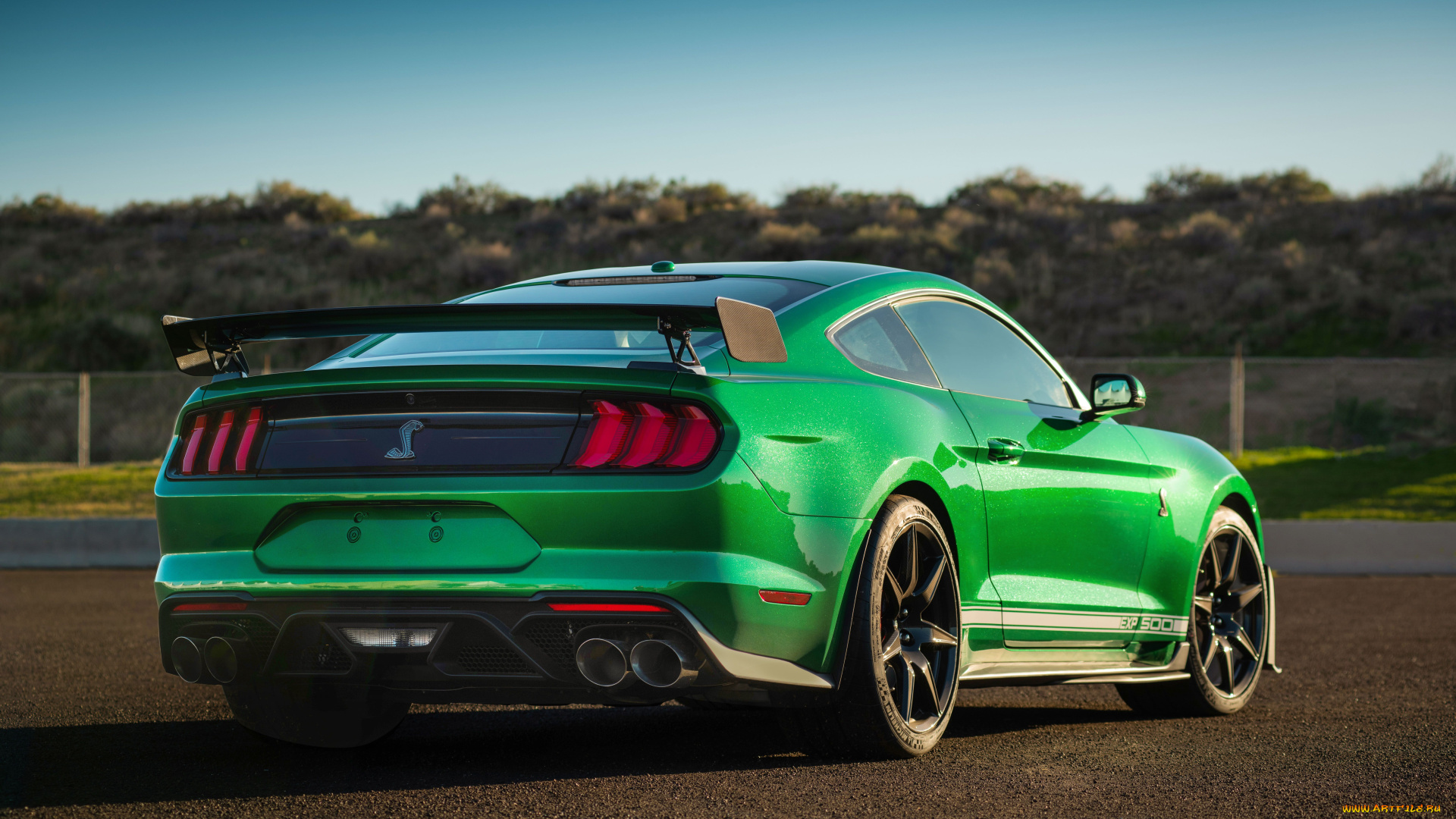 автомобили, mustang, shelby