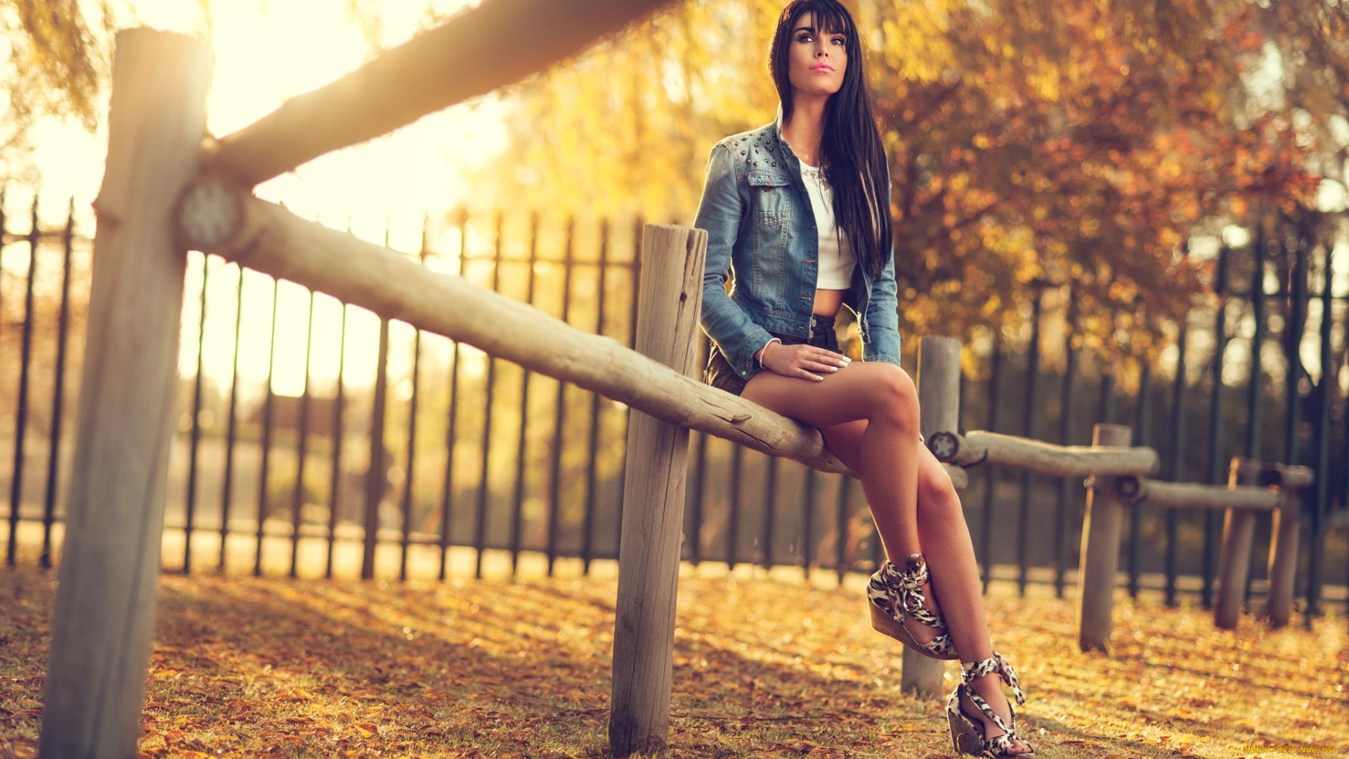 девушки, -, брюнетки, , шатенки, брюнетка, куртка, босоножки, изгородь, осень