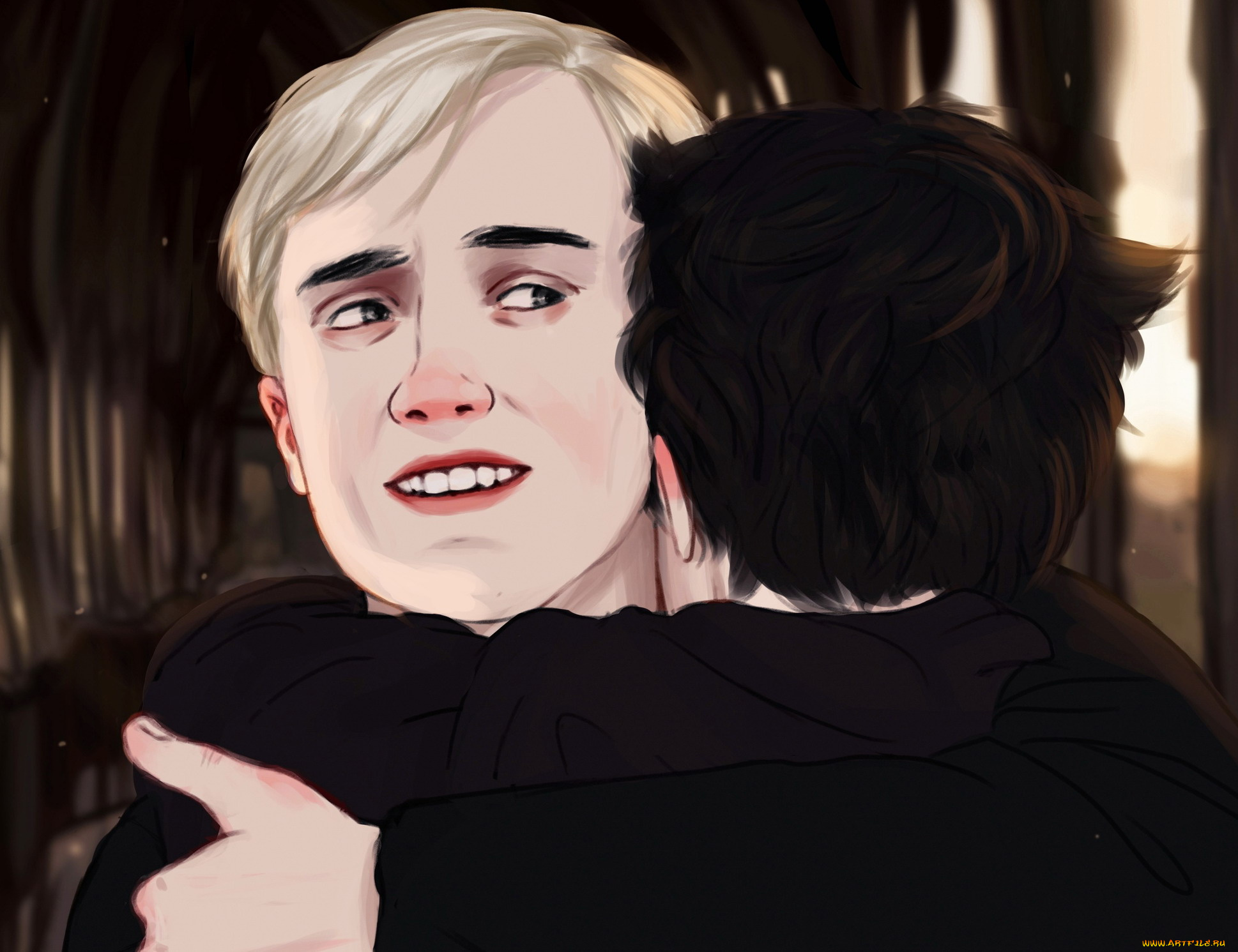 рисованное, кино, , мультфильмы, драко, малфой, гарри, поттер, объятия, лицо