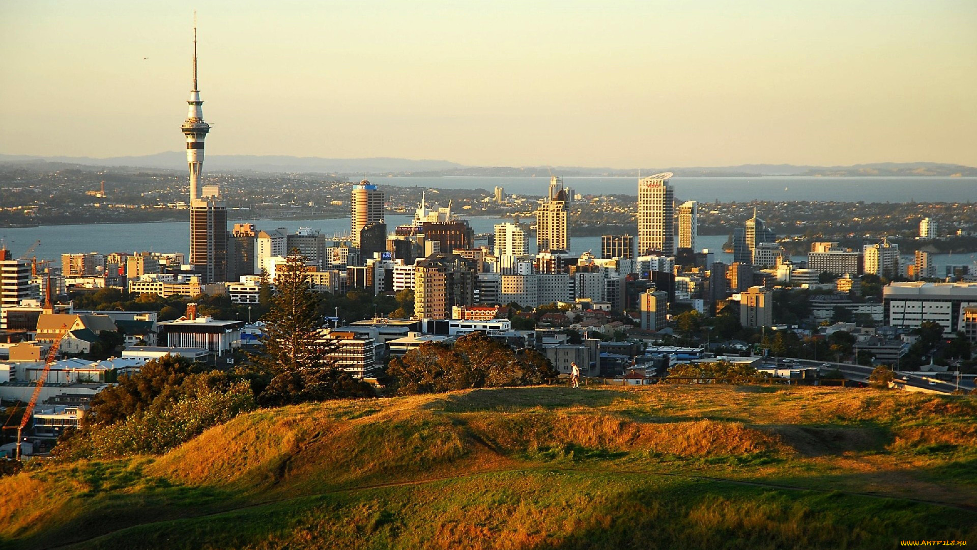 города, окленд, , новая, зеландия, панорама