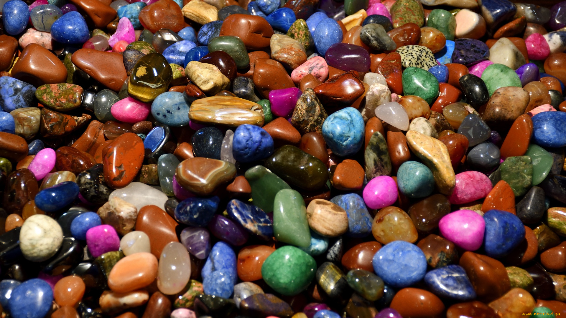 разное, ракушки, , кораллы, , декоративные, и, spa-камни, разноцветные, камешки, много