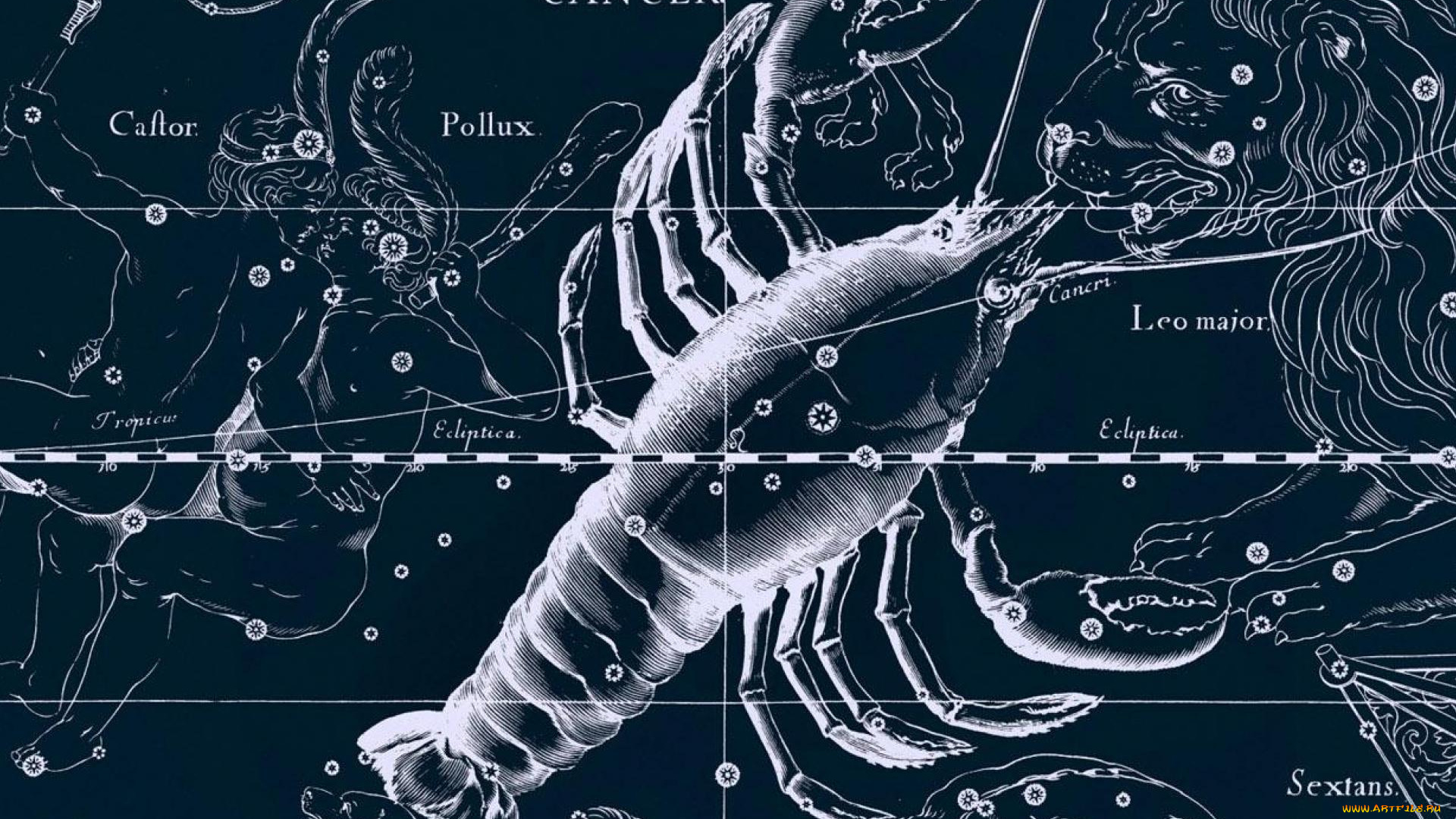 разное, знаки, зодиака, рак, созвездие