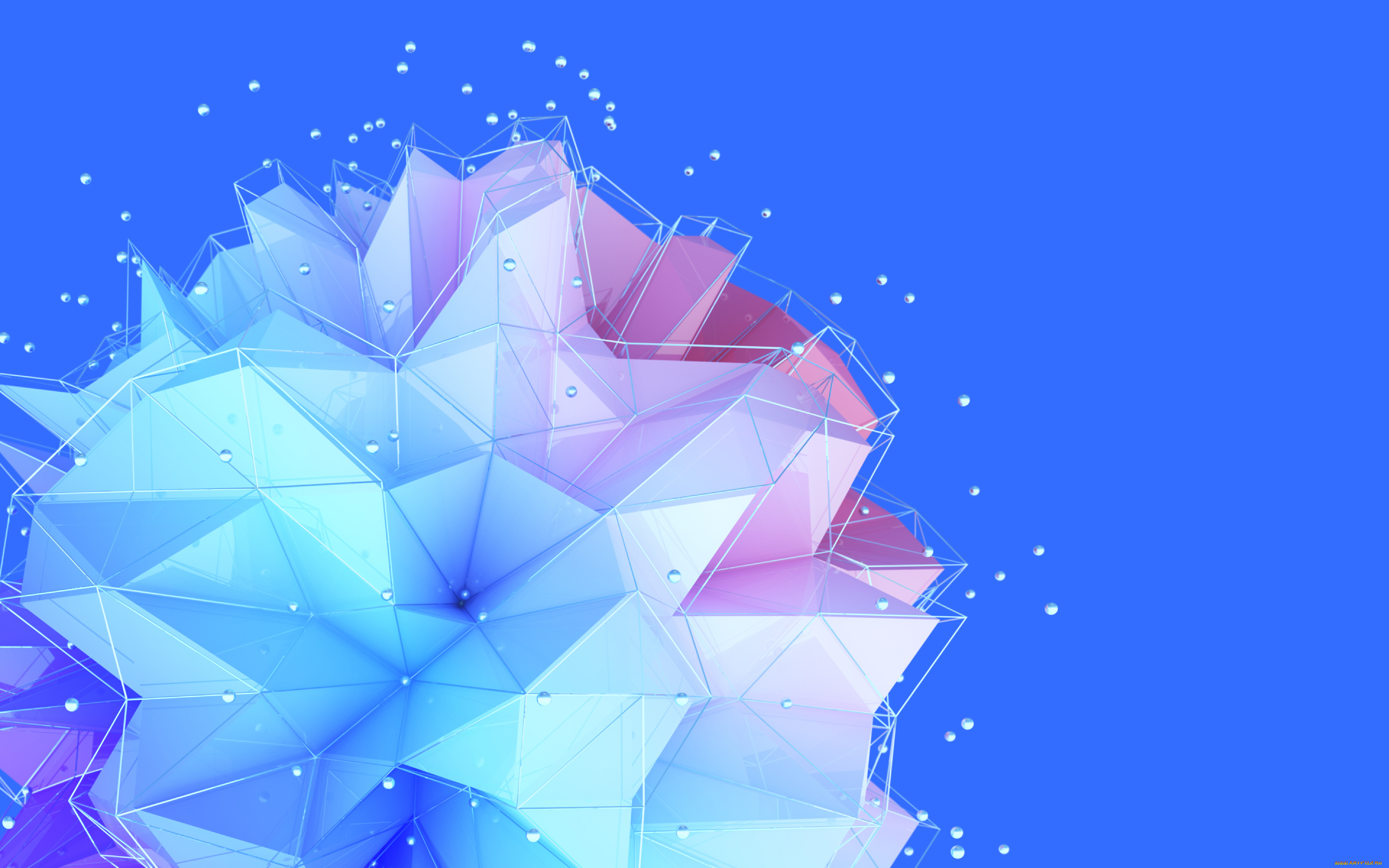 векторная, графика, цветы, , flowers, цветок, геометрия