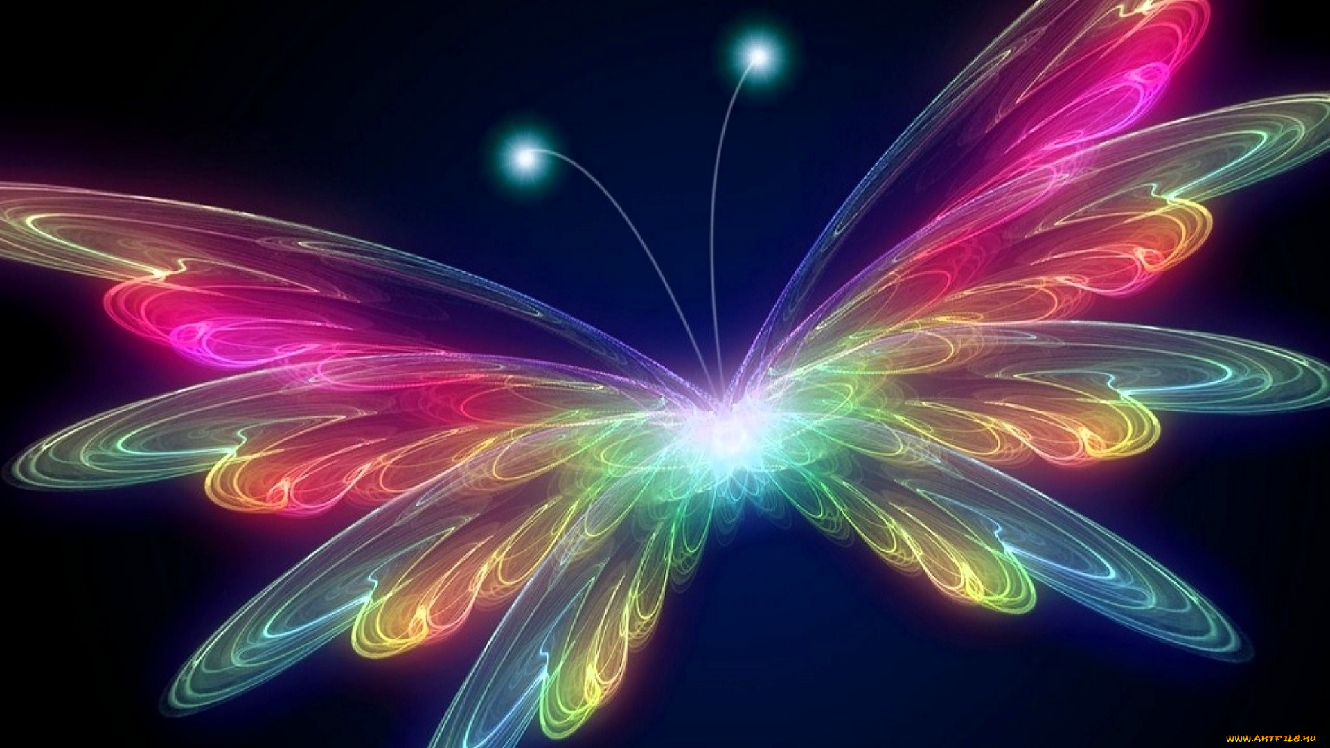 3д, графика, животные, , animals, бабочка, неон