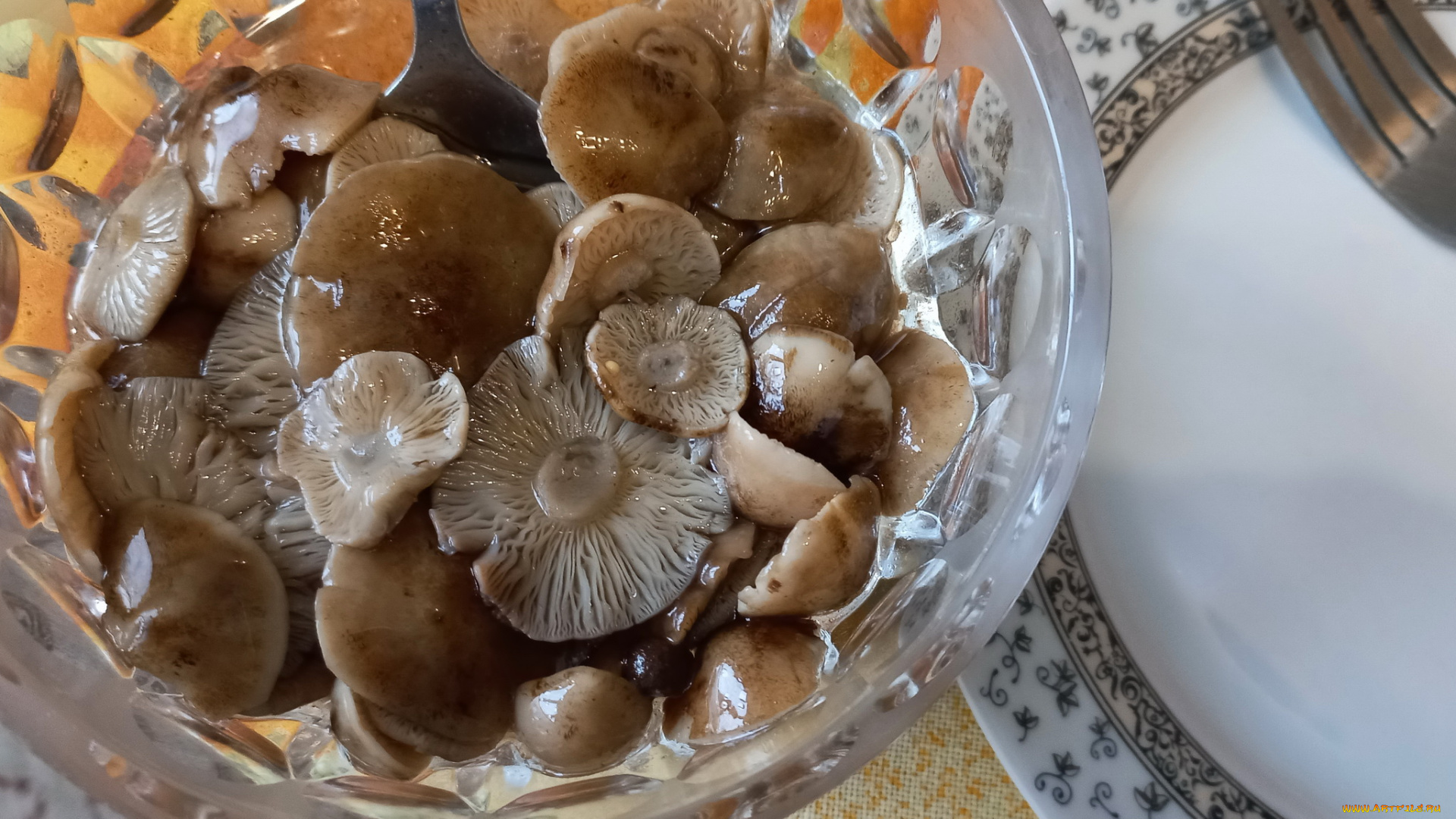 еда, грибы, , грибные, блюда, маринованные, опята