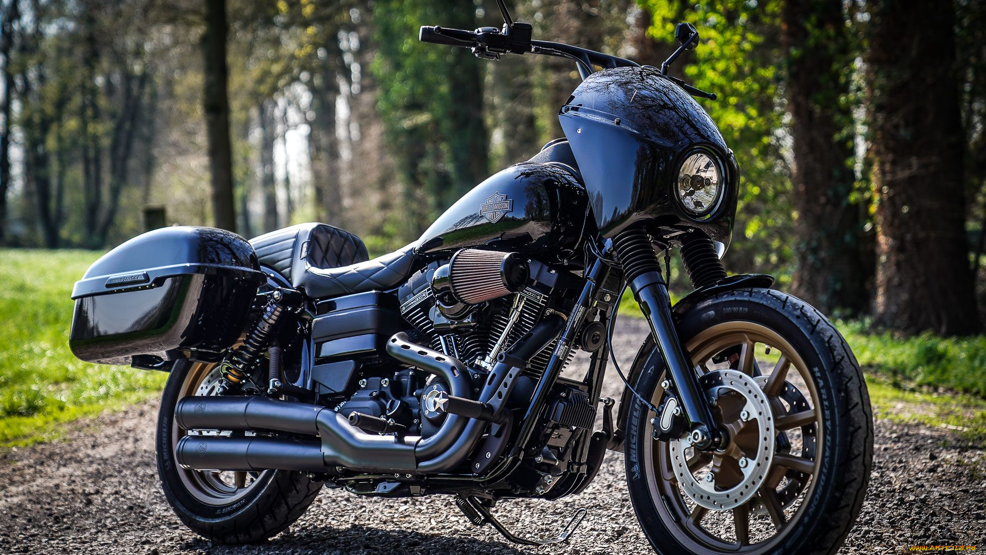 harley, мотоциклы, harley-davidson, мотоцикл, байк, thunderbike, customs
