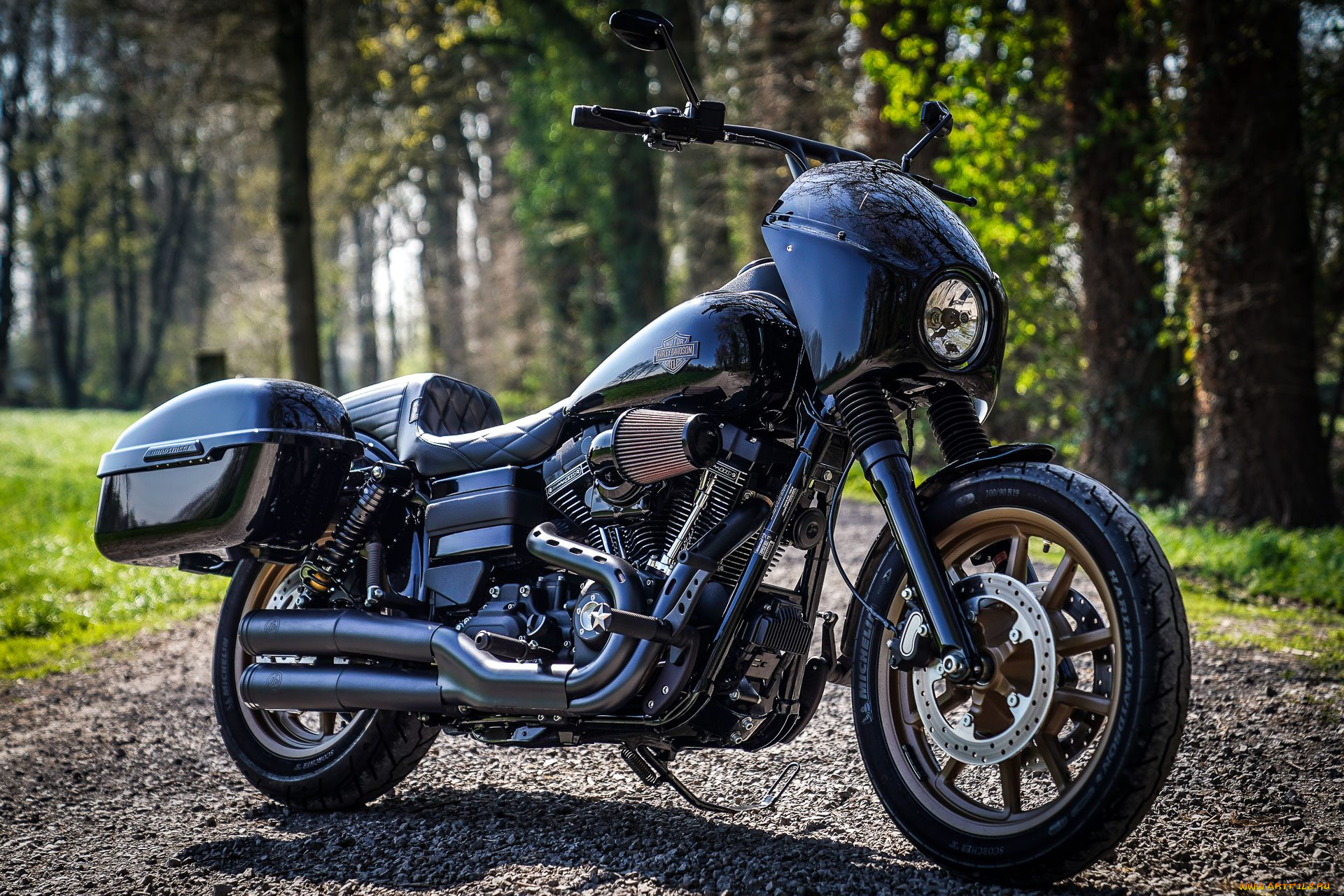 harley, мотоциклы, harley-davidson, мотоцикл, байк, thunderbike, customs