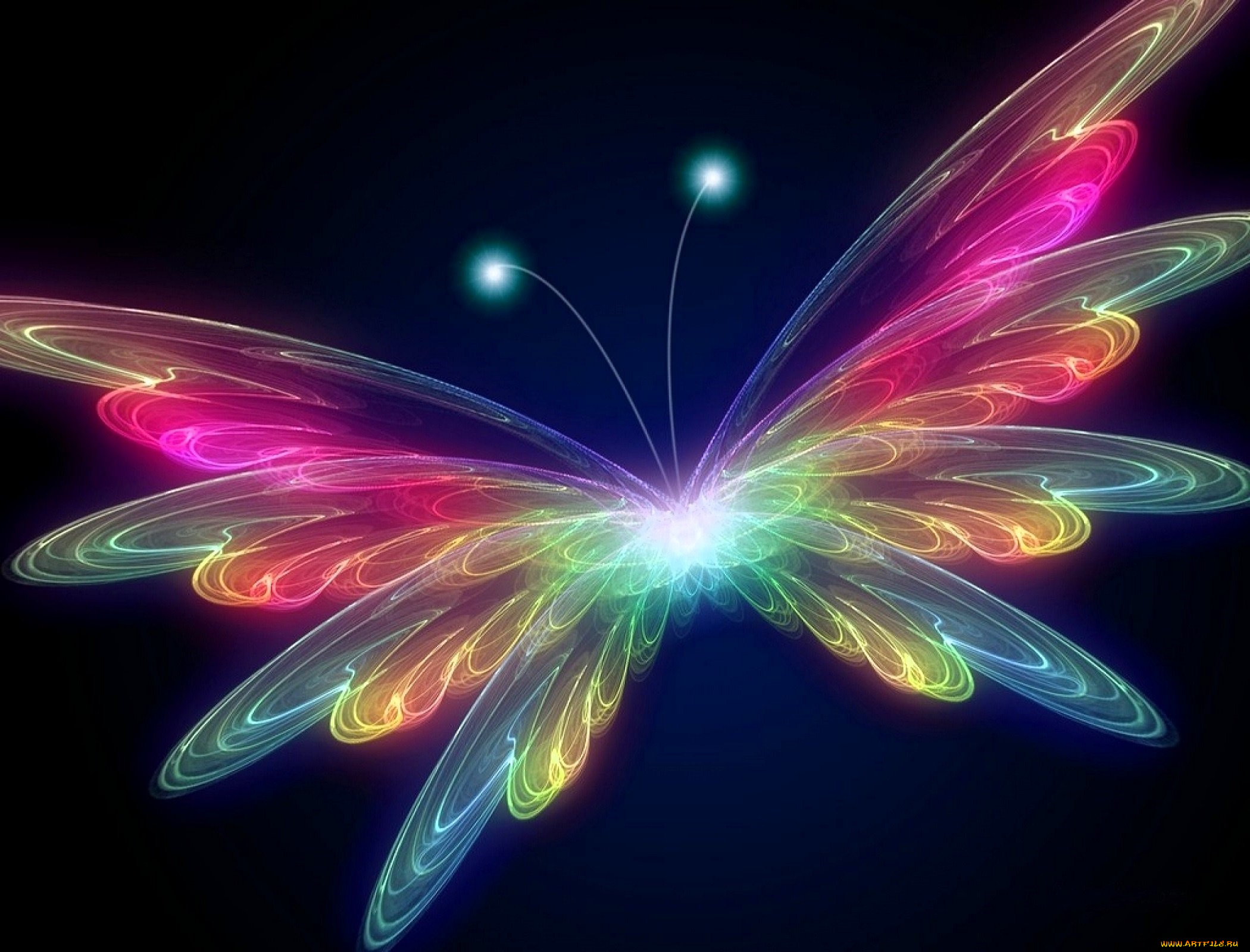 3д, графика, животные, , animals, бабочка, неон