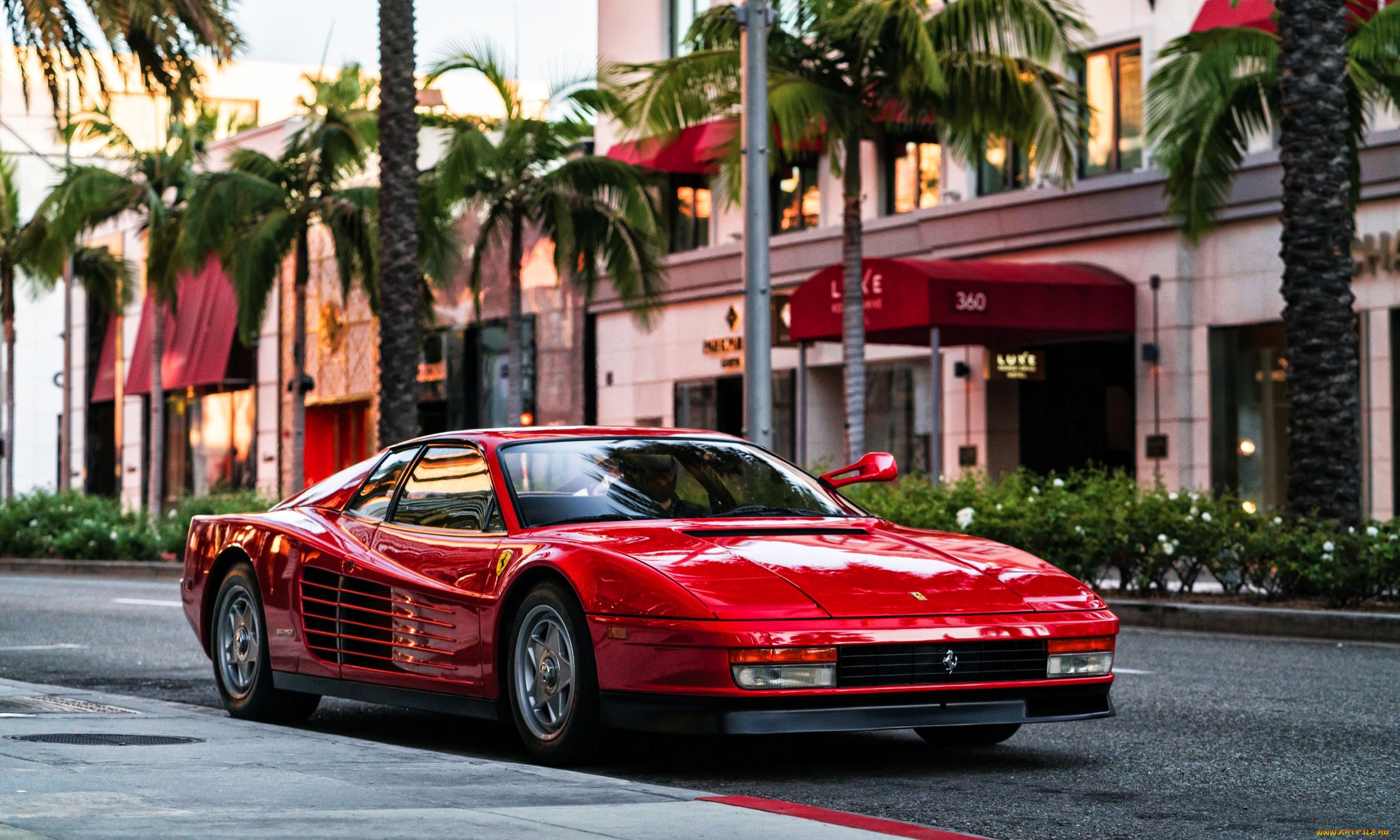 ferrari, testarossa, автомобили, ferrari, красный, улица, город, здания, пальмы