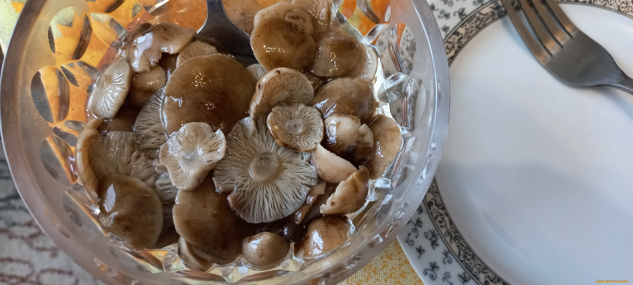 еда, грибы, , грибные, блюда, маринованные, опята