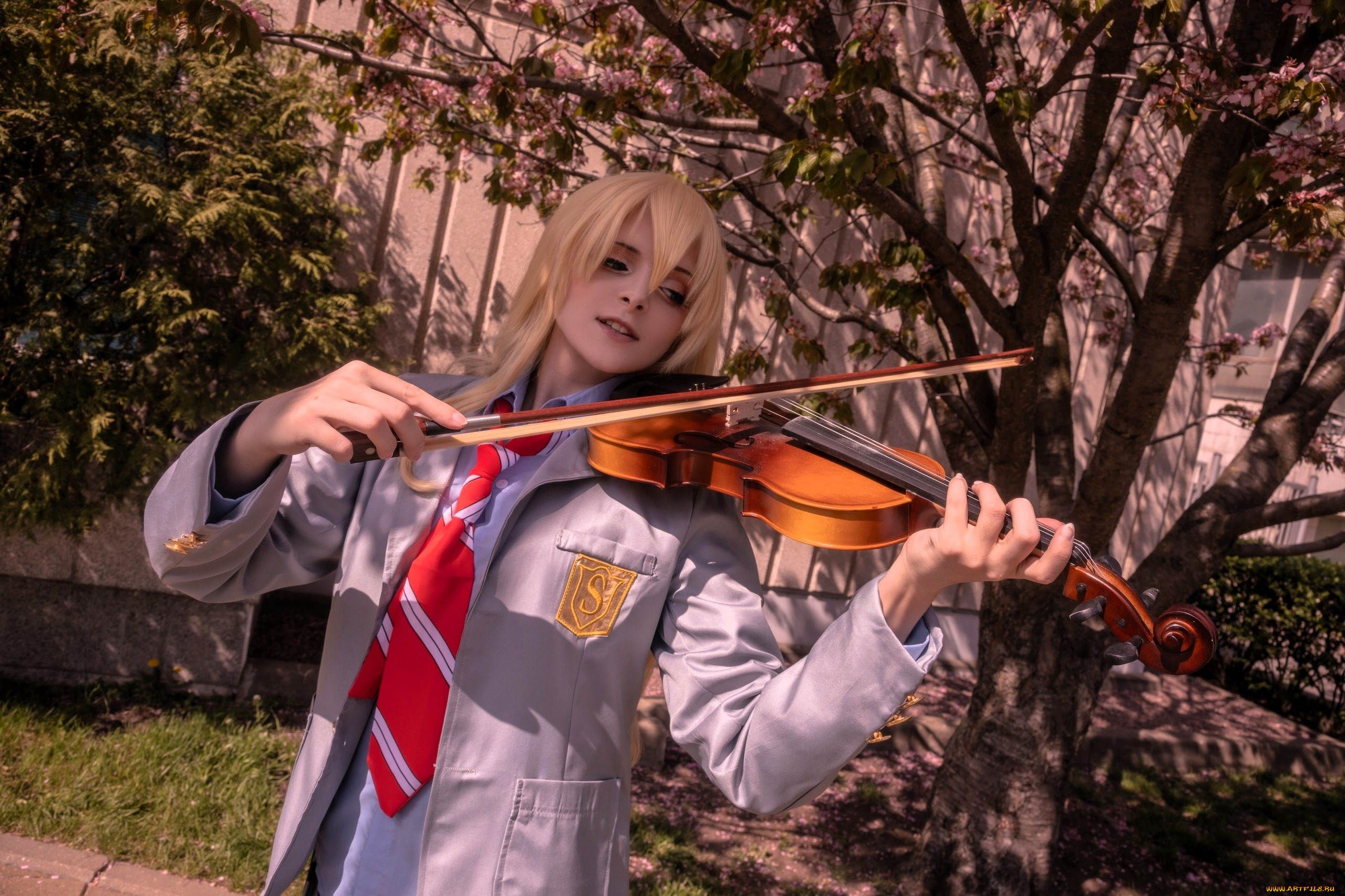 девушки, mari, aisu, образ, косплей, костюм, форма, скрипка, деревья, забор