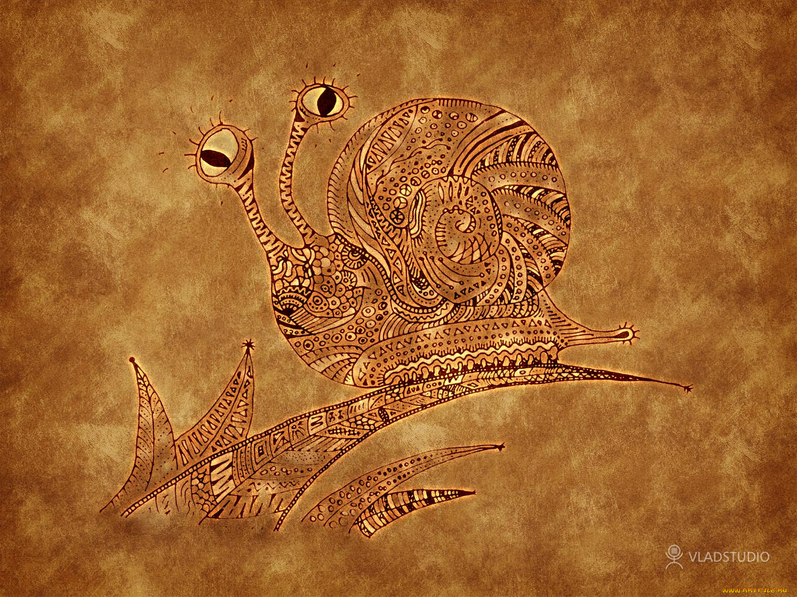 рисованные, животные, улитки