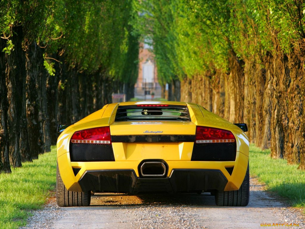 автомобили, lamborghini