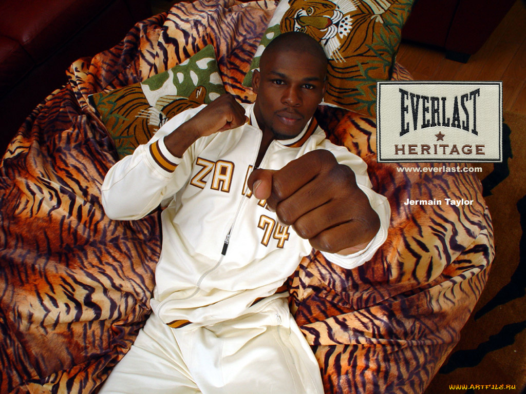 спорт, бокс