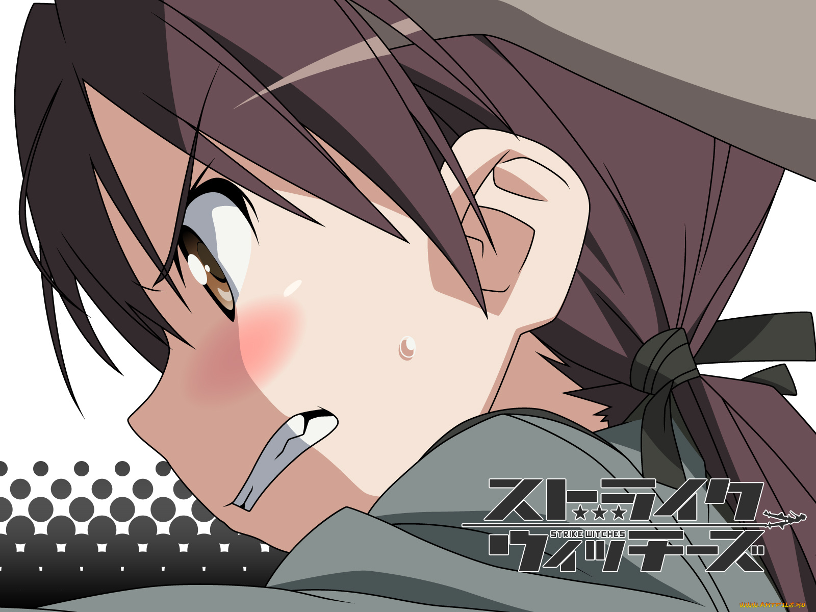 аниме, strike, witches