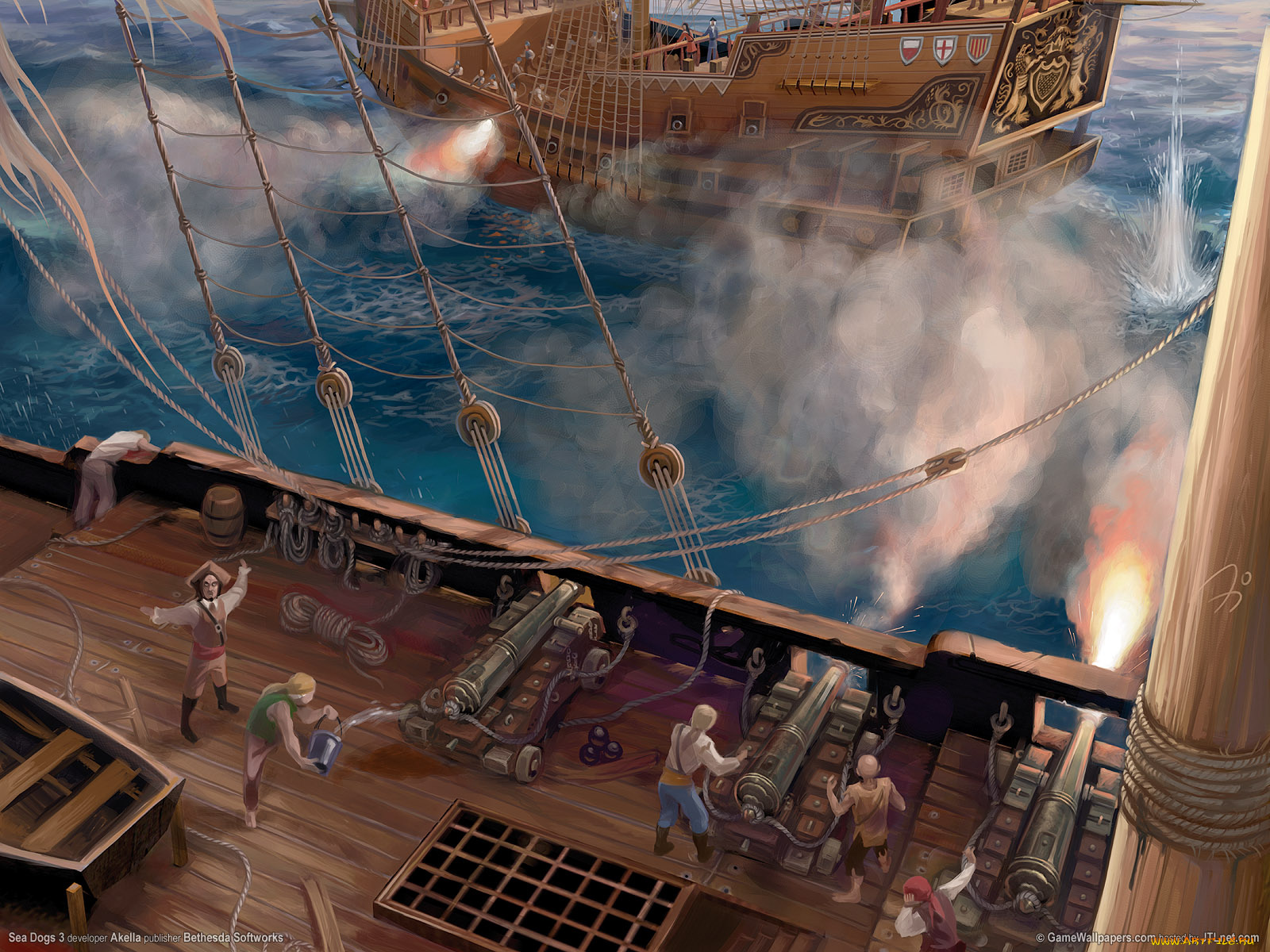 sea, dogs, видео, игры