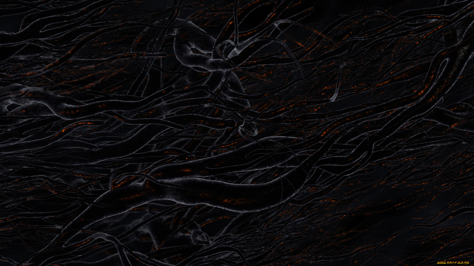 3д, графика, abstract, абстракции