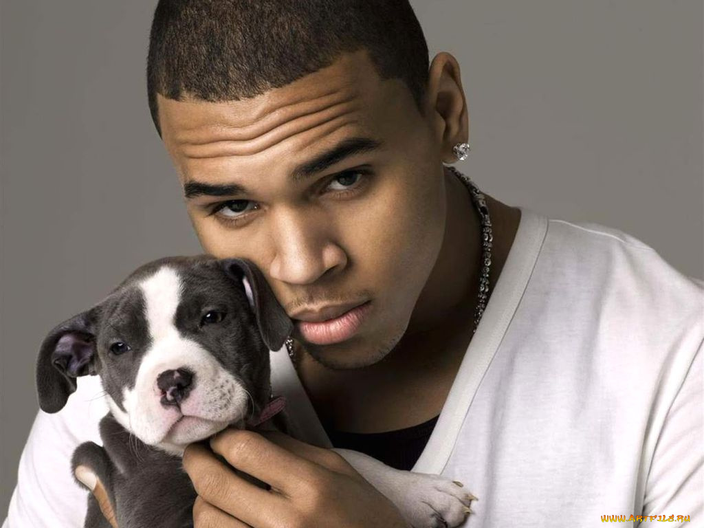 chris, brown, музыка