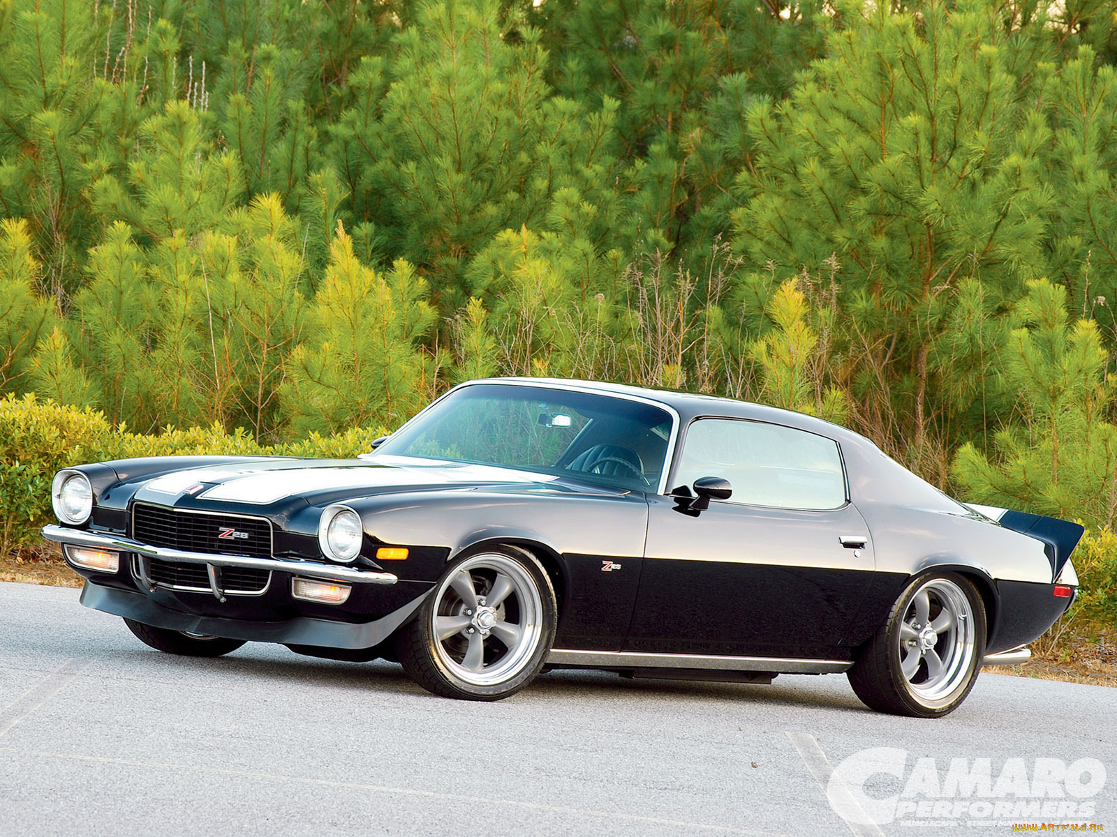 автомобили, camaro