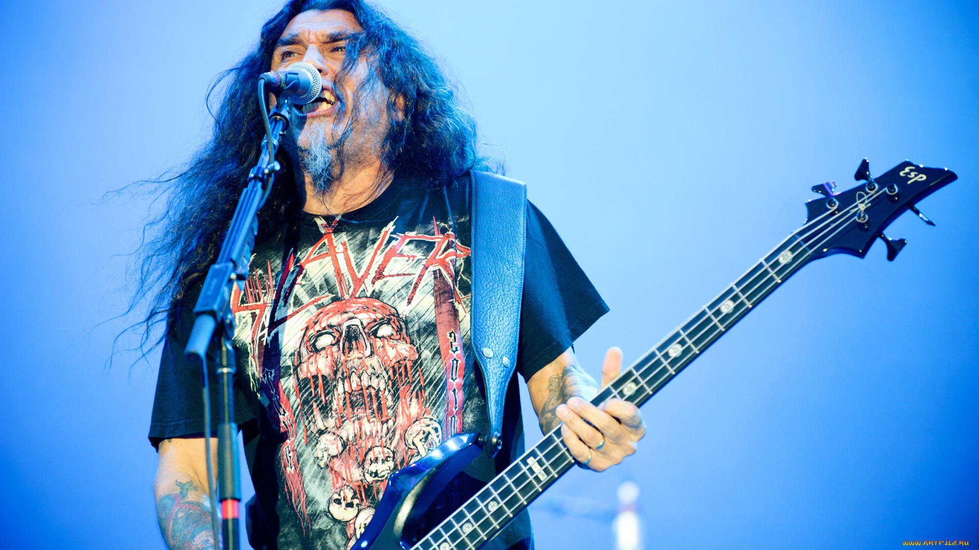 музыка, slayer, rock, tom, araya
