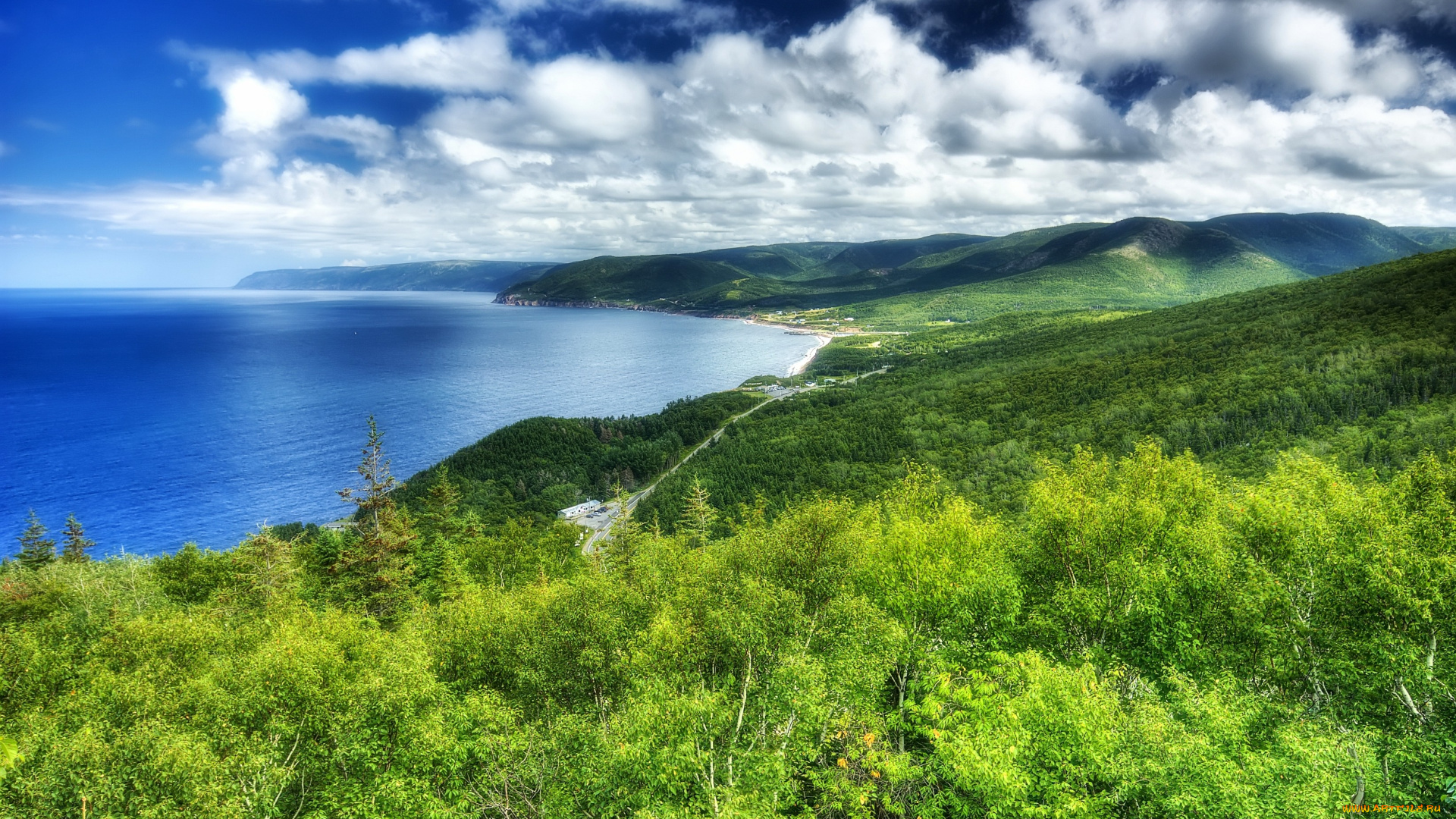 природа, побережье, море, лес, небо, горы