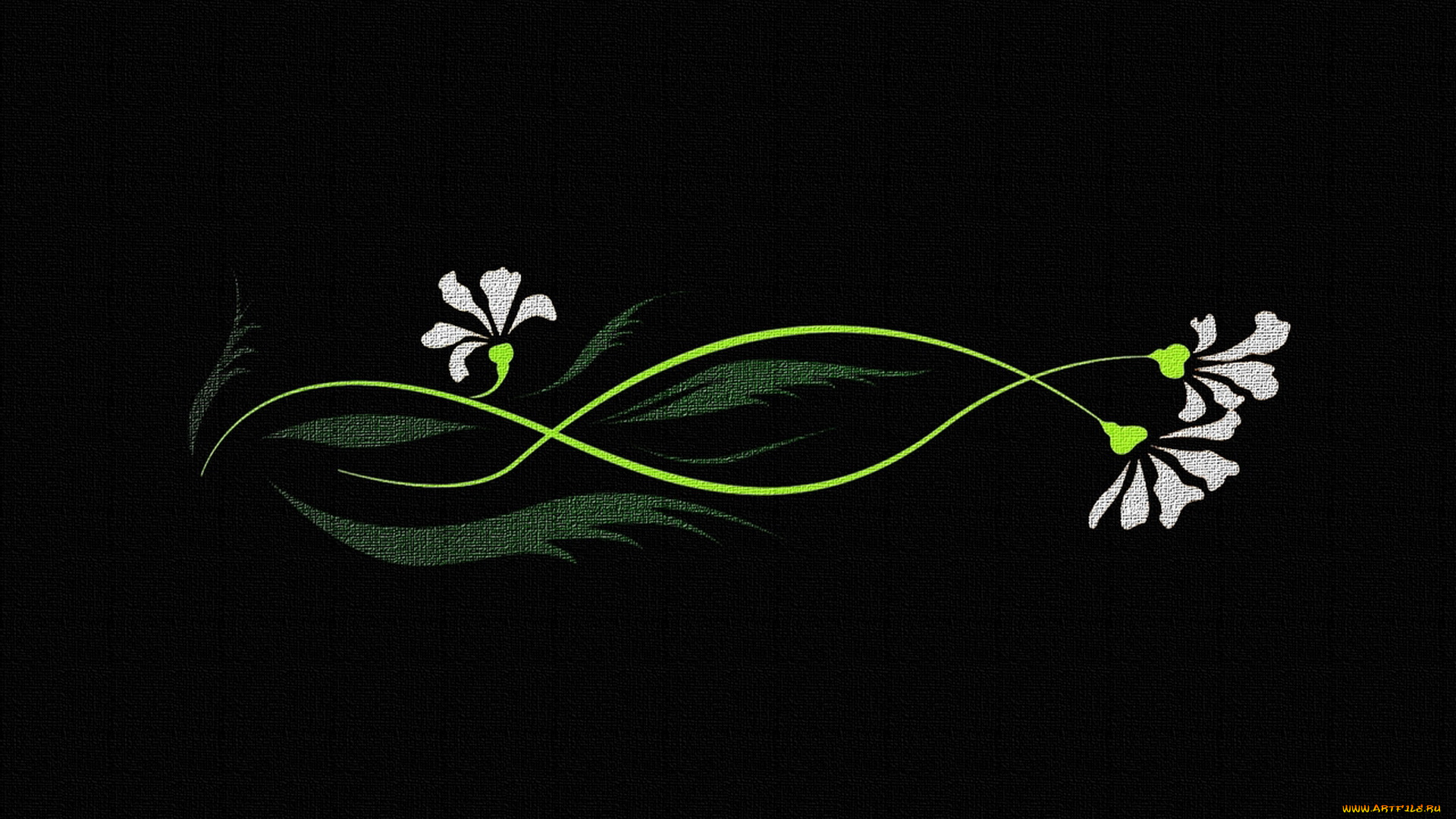 векторная, графика, цветы