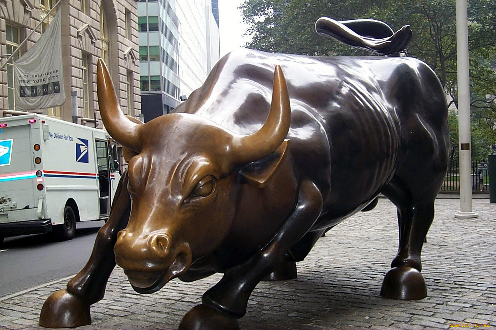 города, нью, йорк, сша, бык