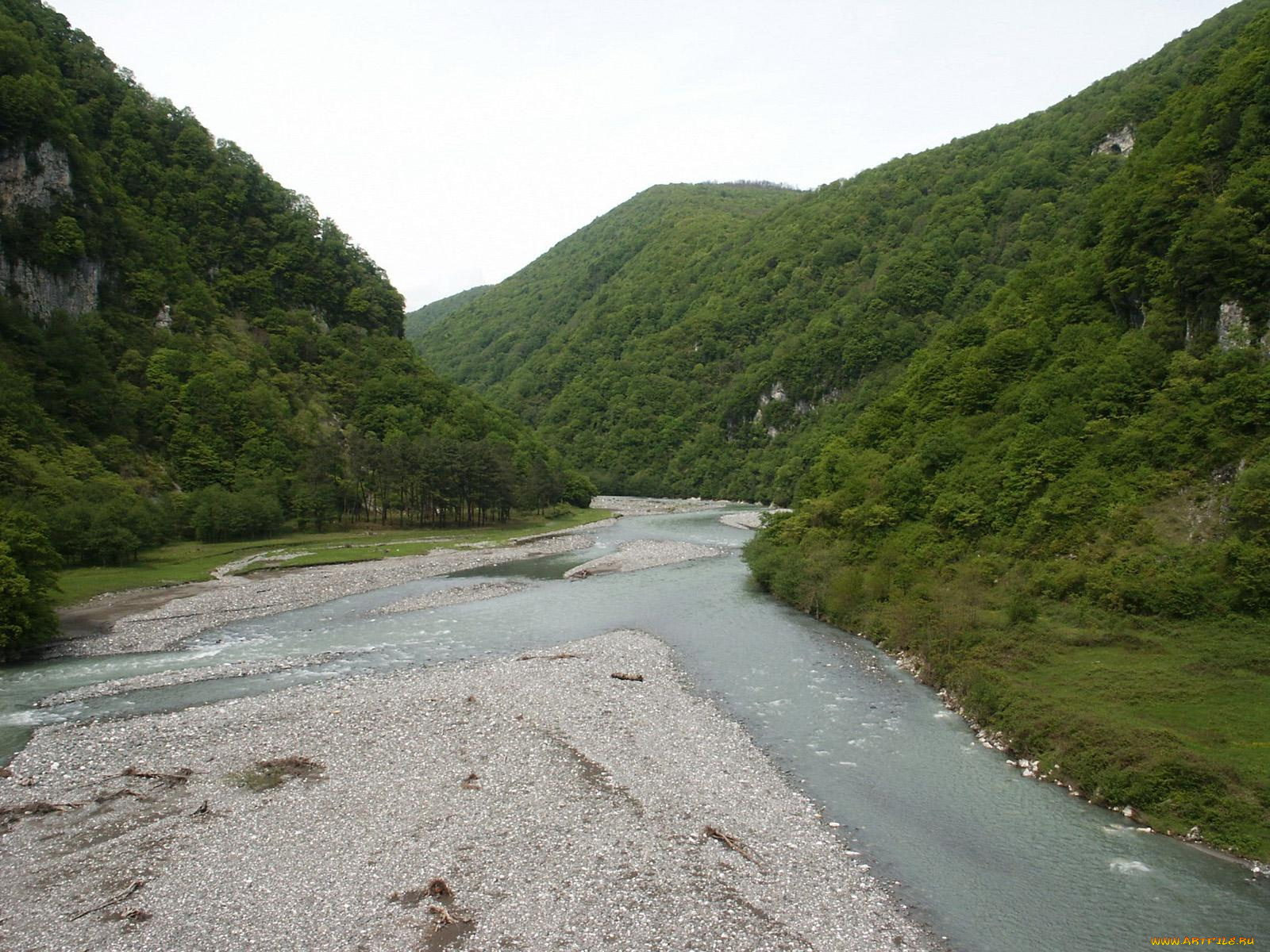 природа, реки, озера, лес, река