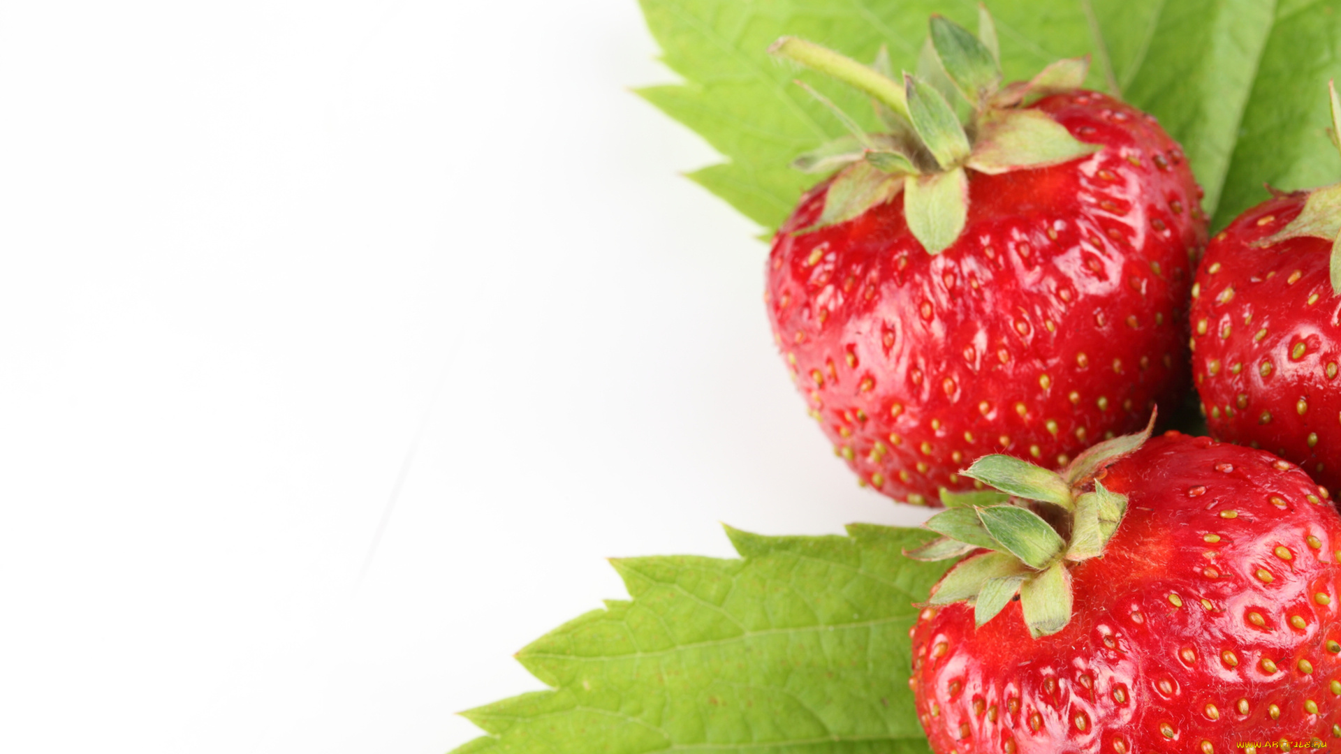 еда, клубника, земляника, ягоды