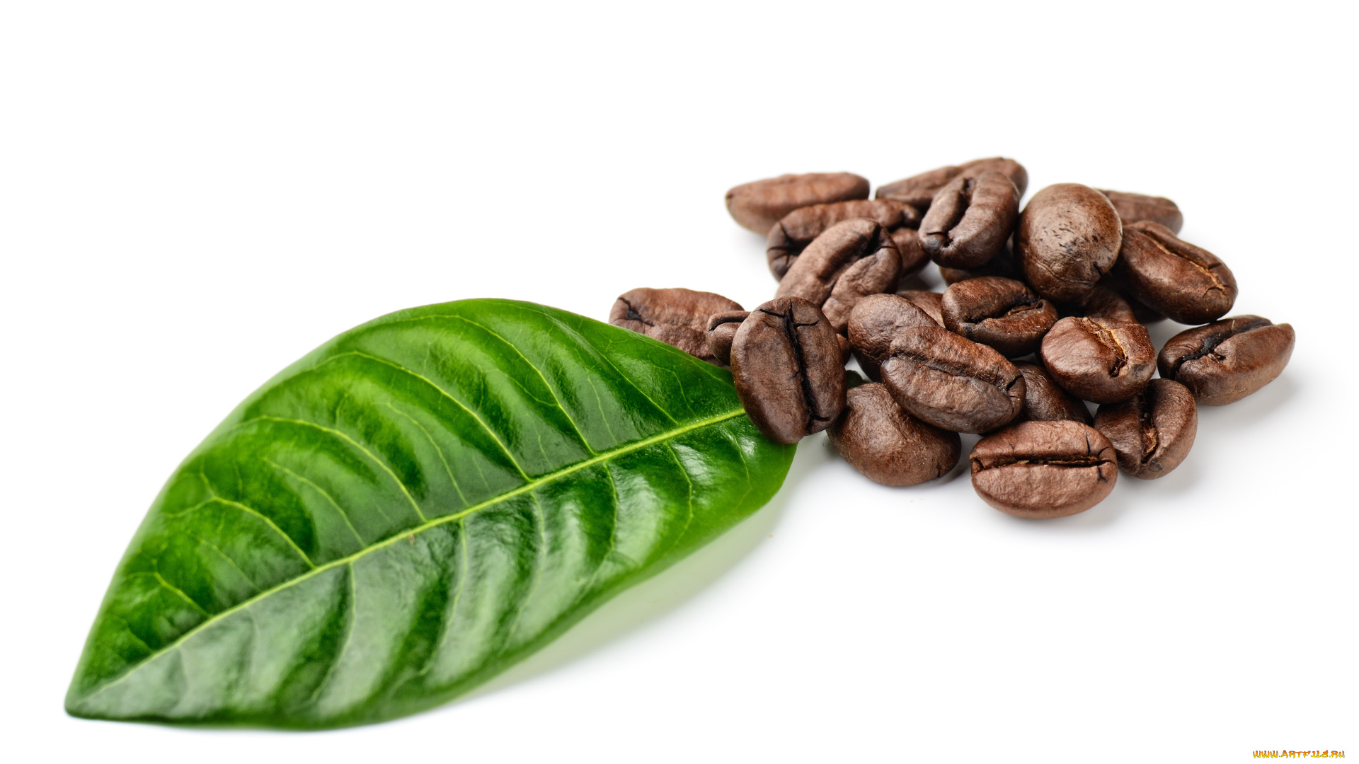 еда, кофе, кофейные, зёрна, напиток