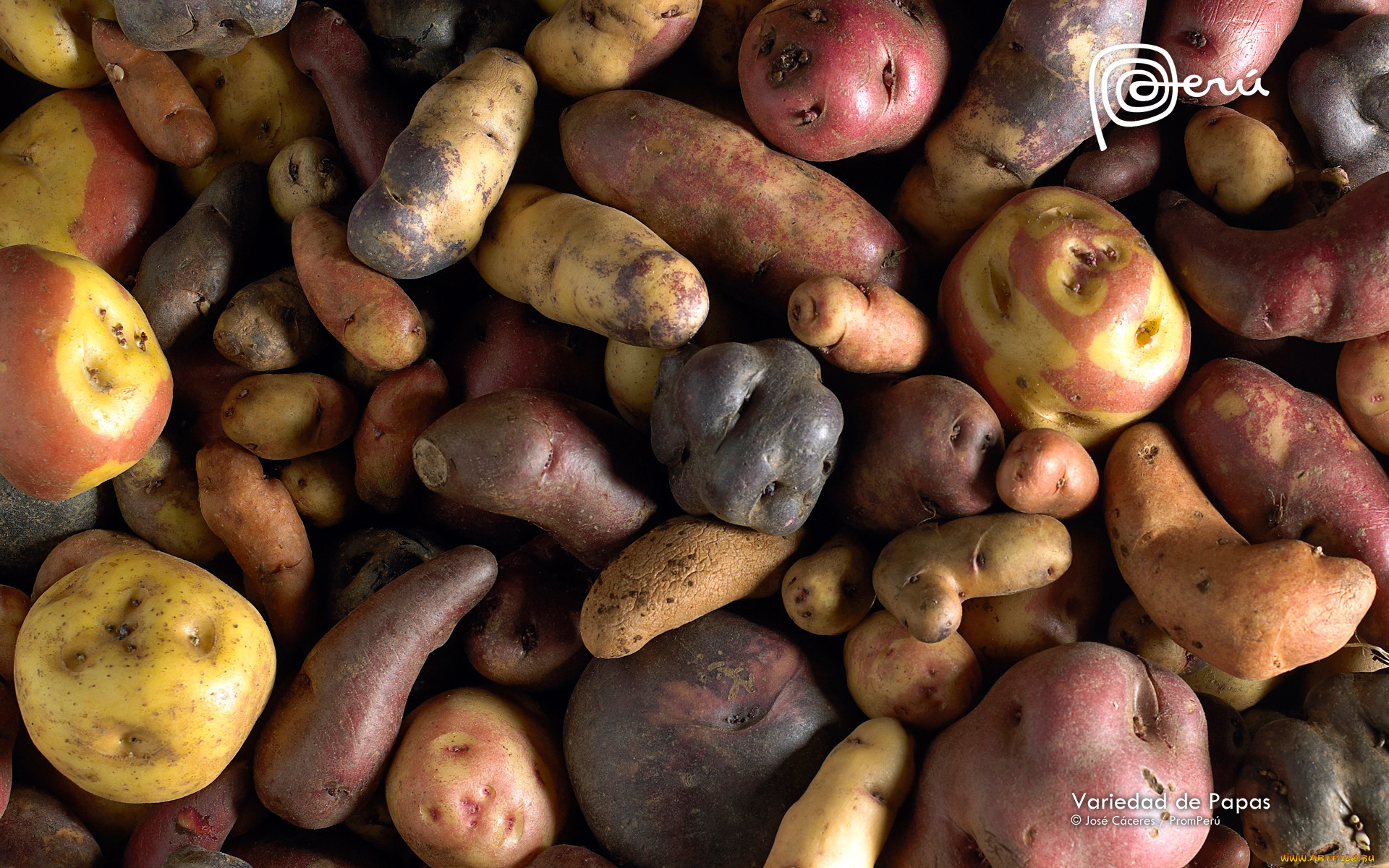 еда, картофель, картошка