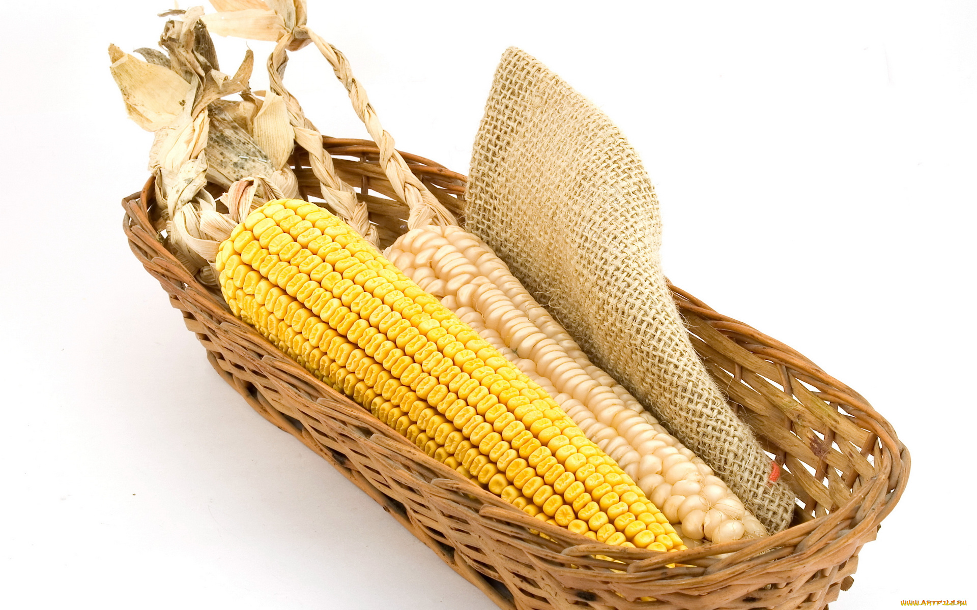 еда, кукуруза