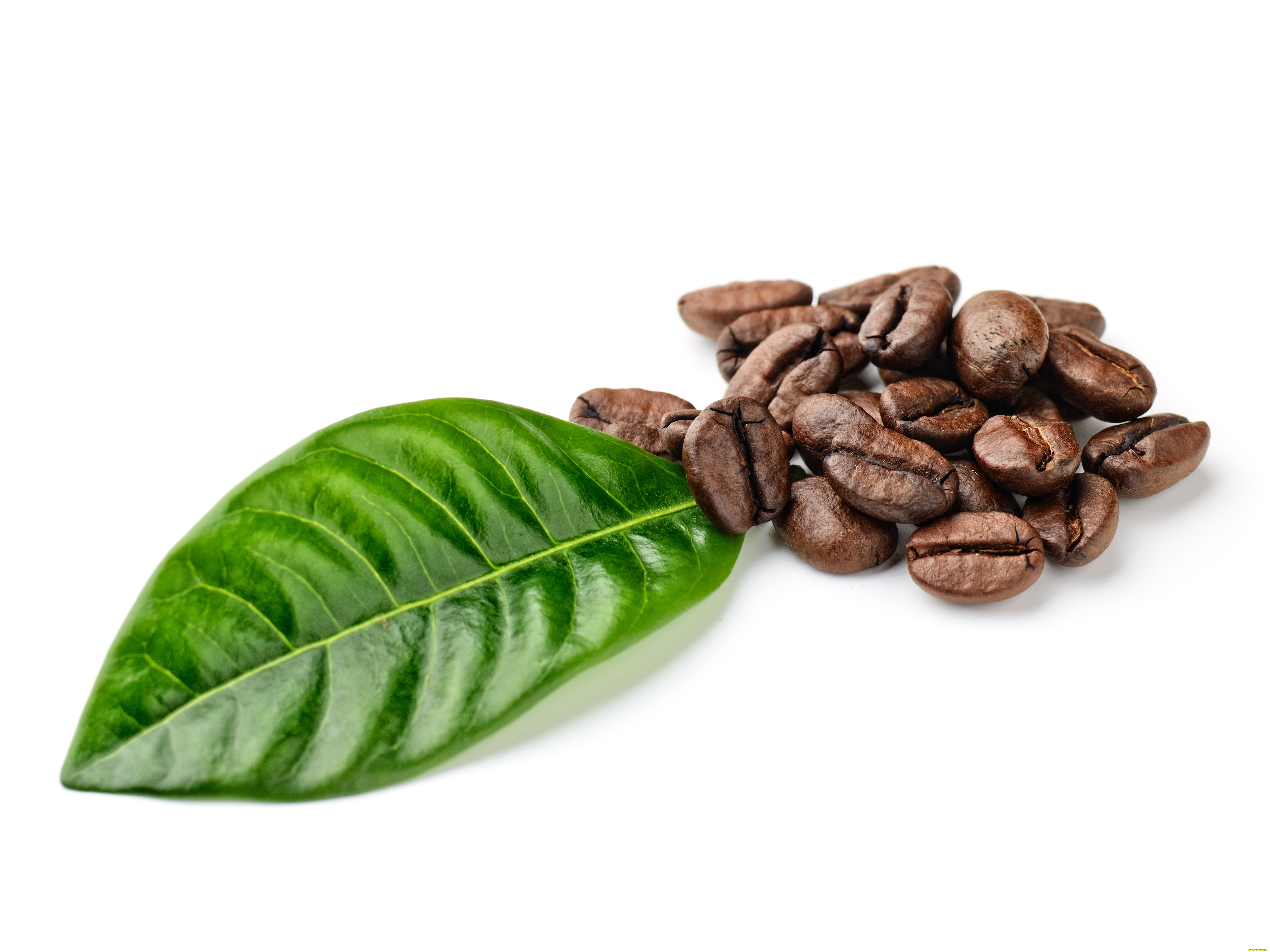 еда, кофе, кофейные, зёрна, напиток